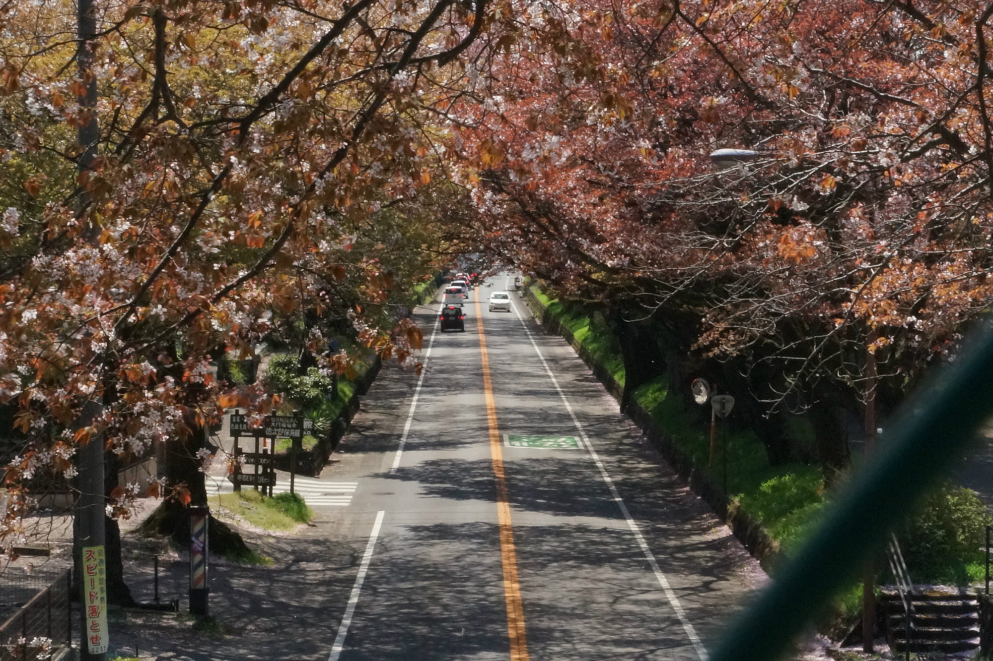 2018年4月9日(月)