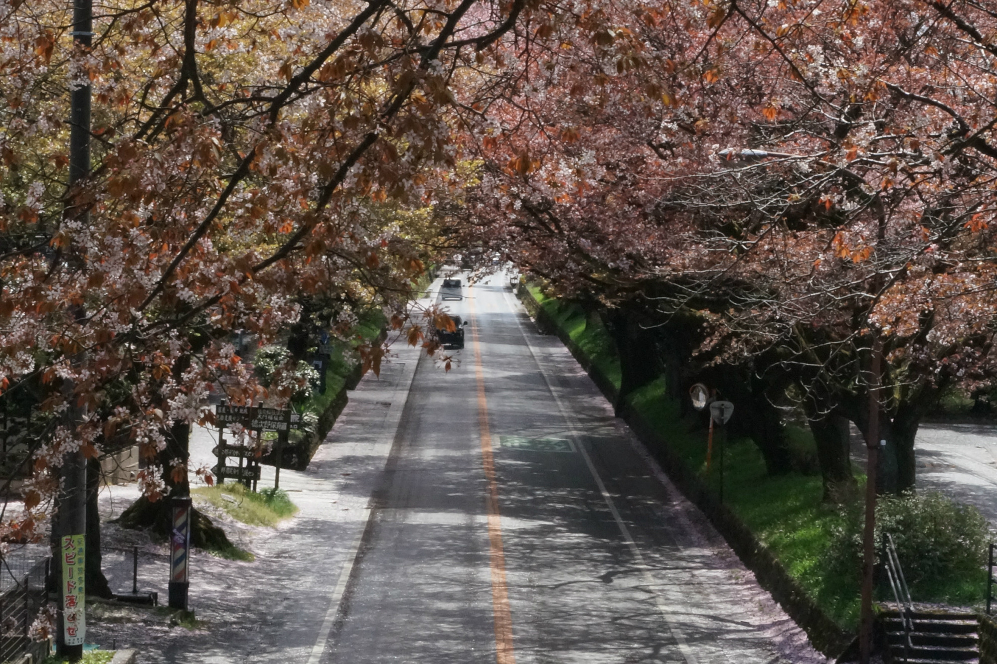 2018年4月8日(日)