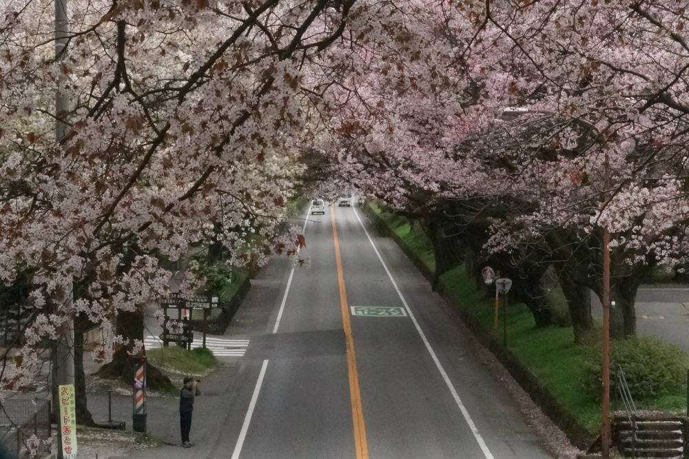 2018年4月6日（金）