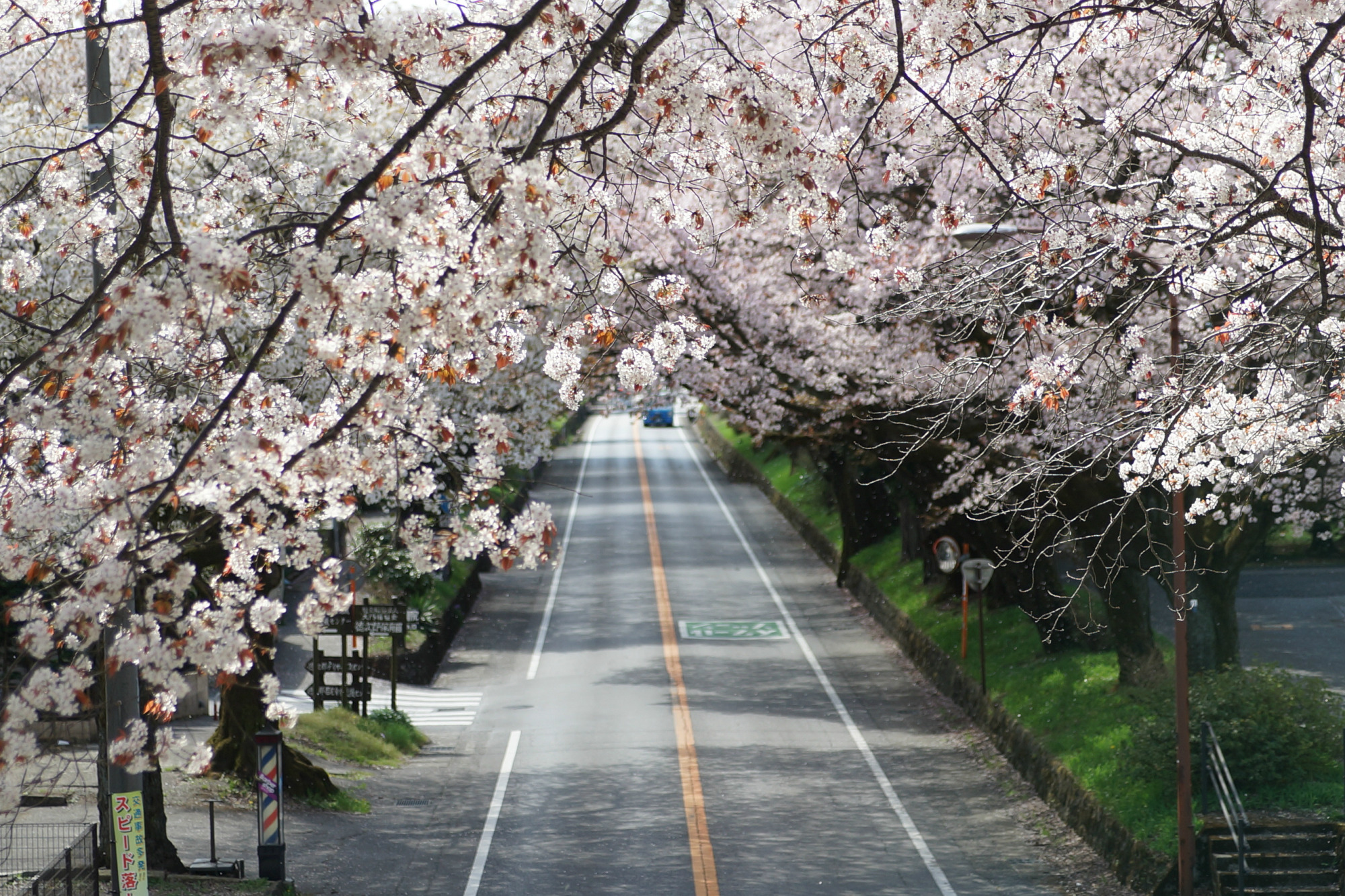2018年4月5日(木)