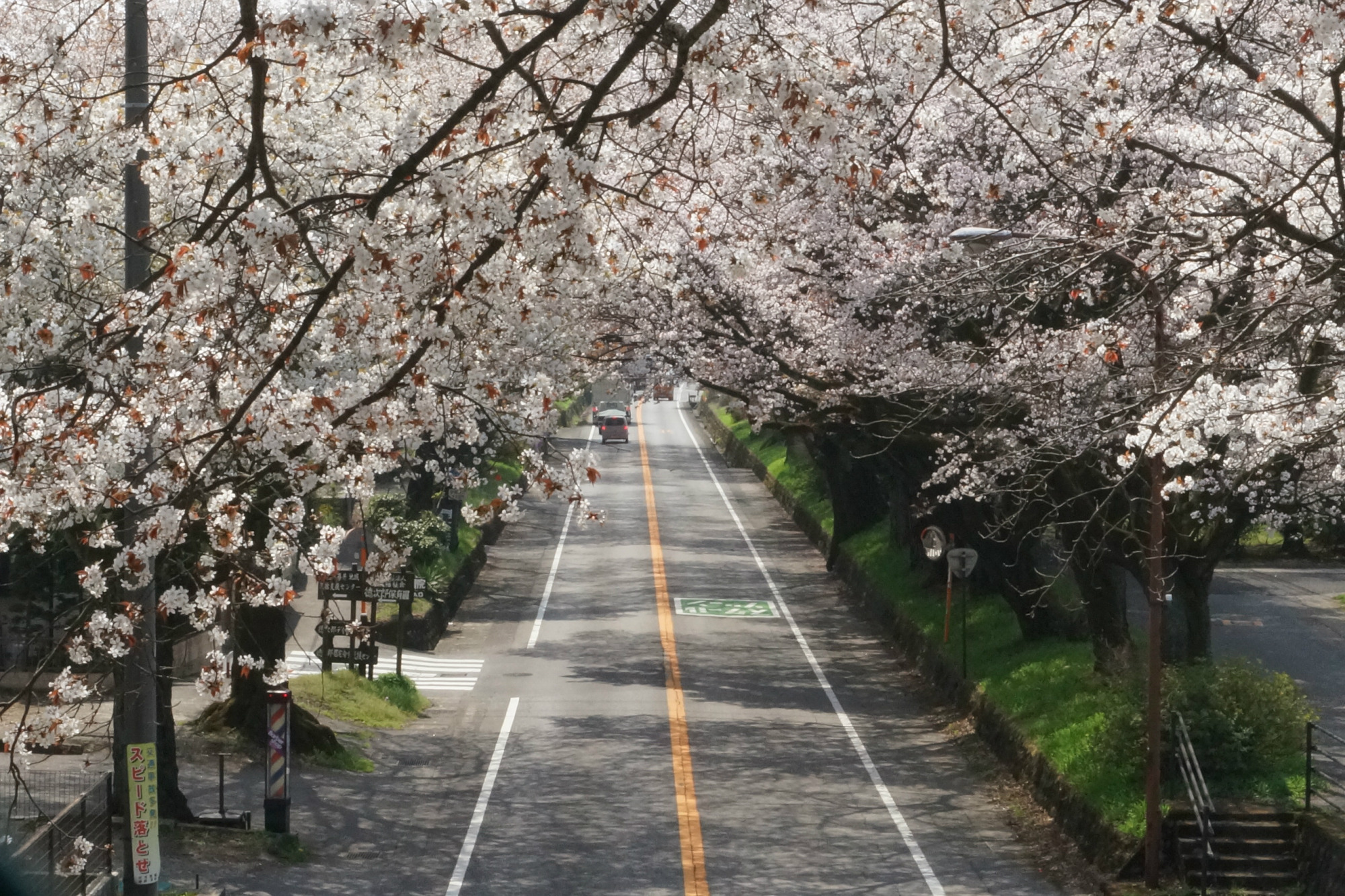 2018年4月4日(水)