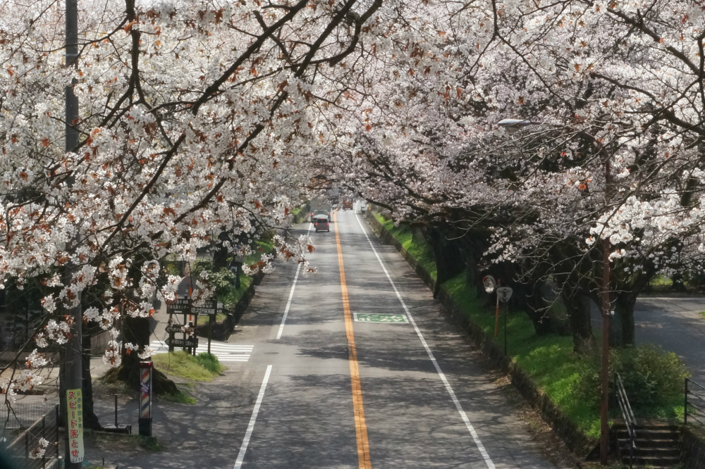 2018年4月4日（水）