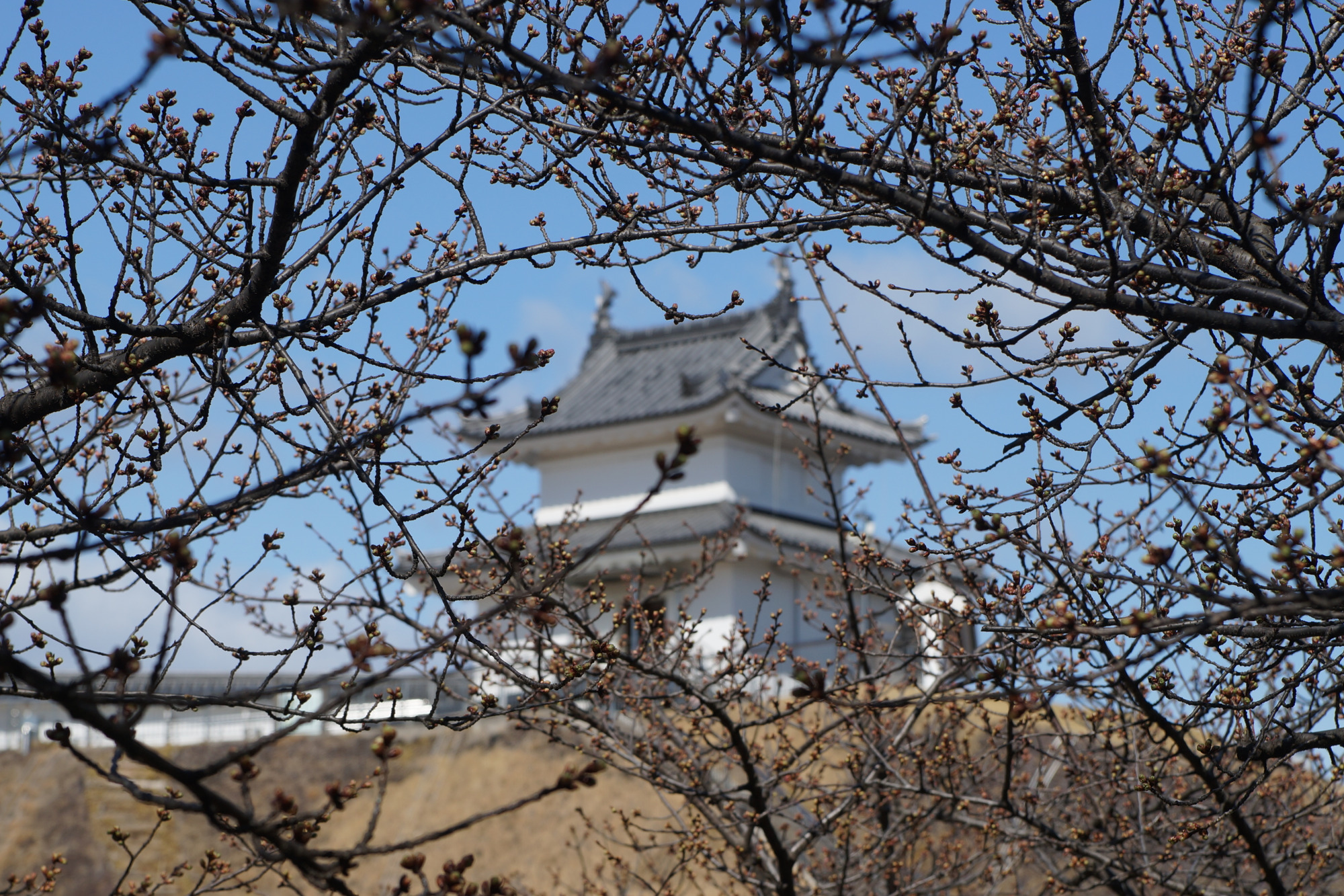 2025年3月7日(金)