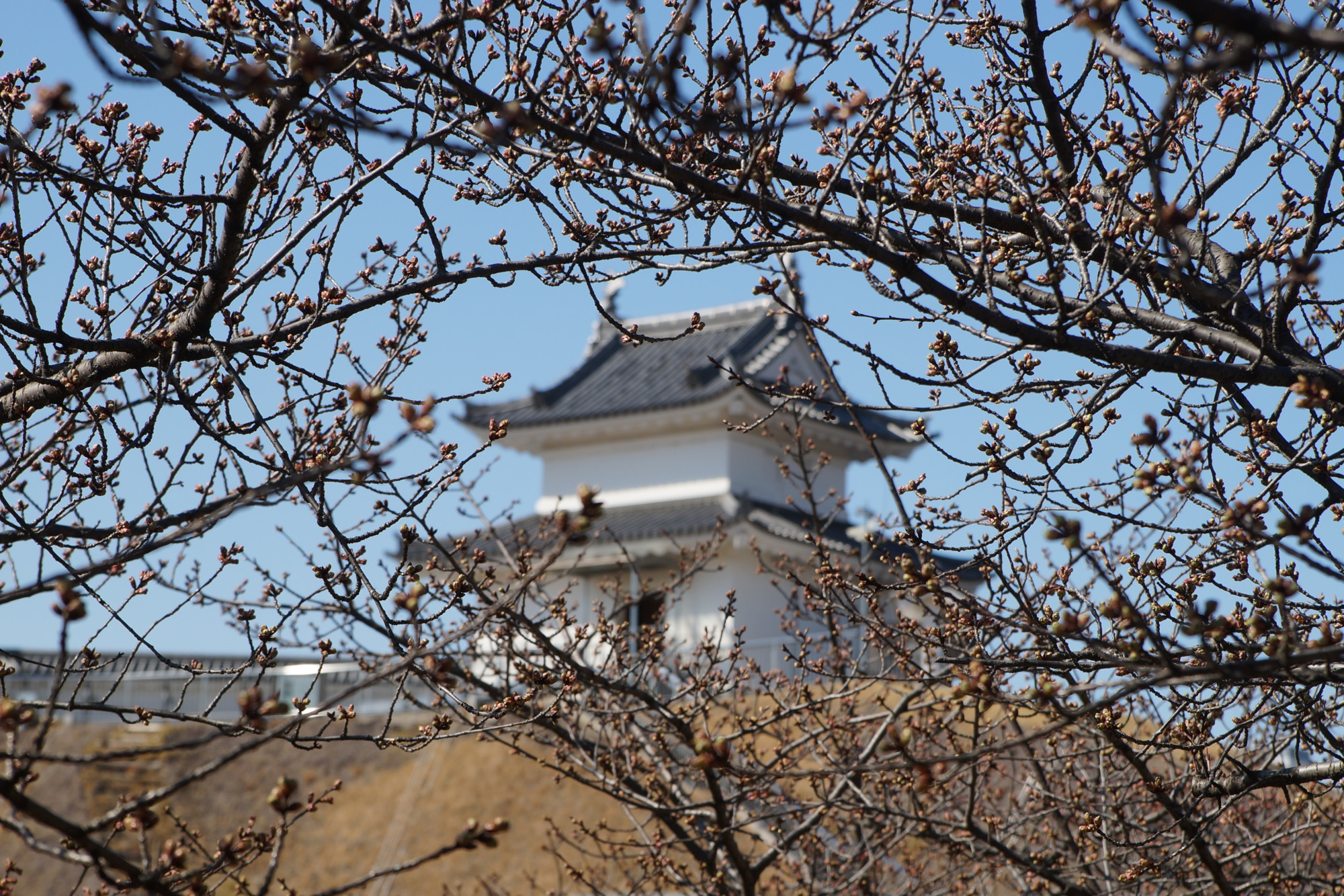 2025年3月10日(月)
