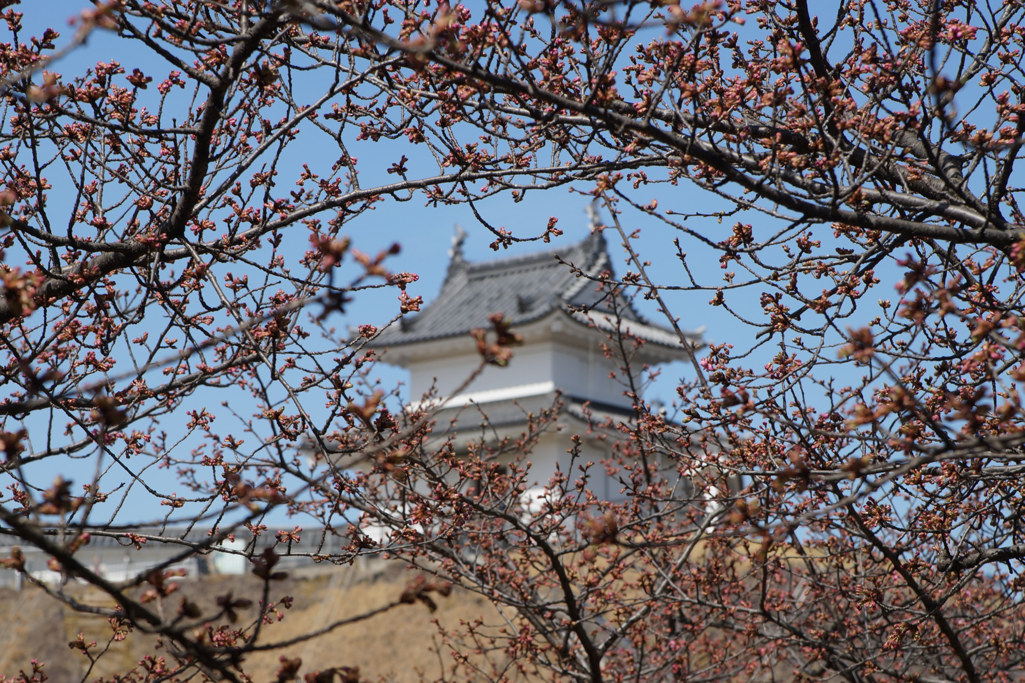 2025年3月14日(金)