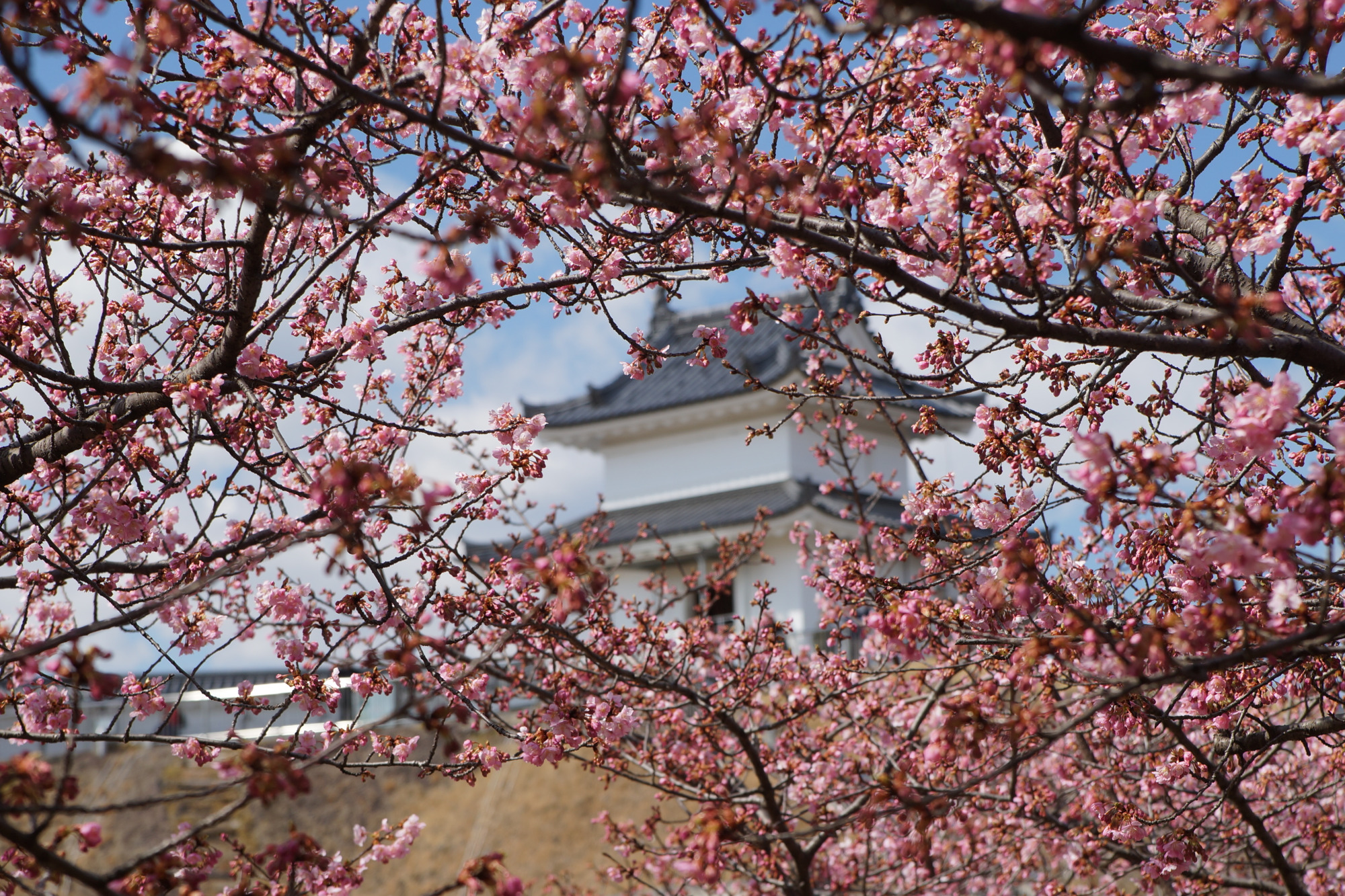 2025年3月20日(木)