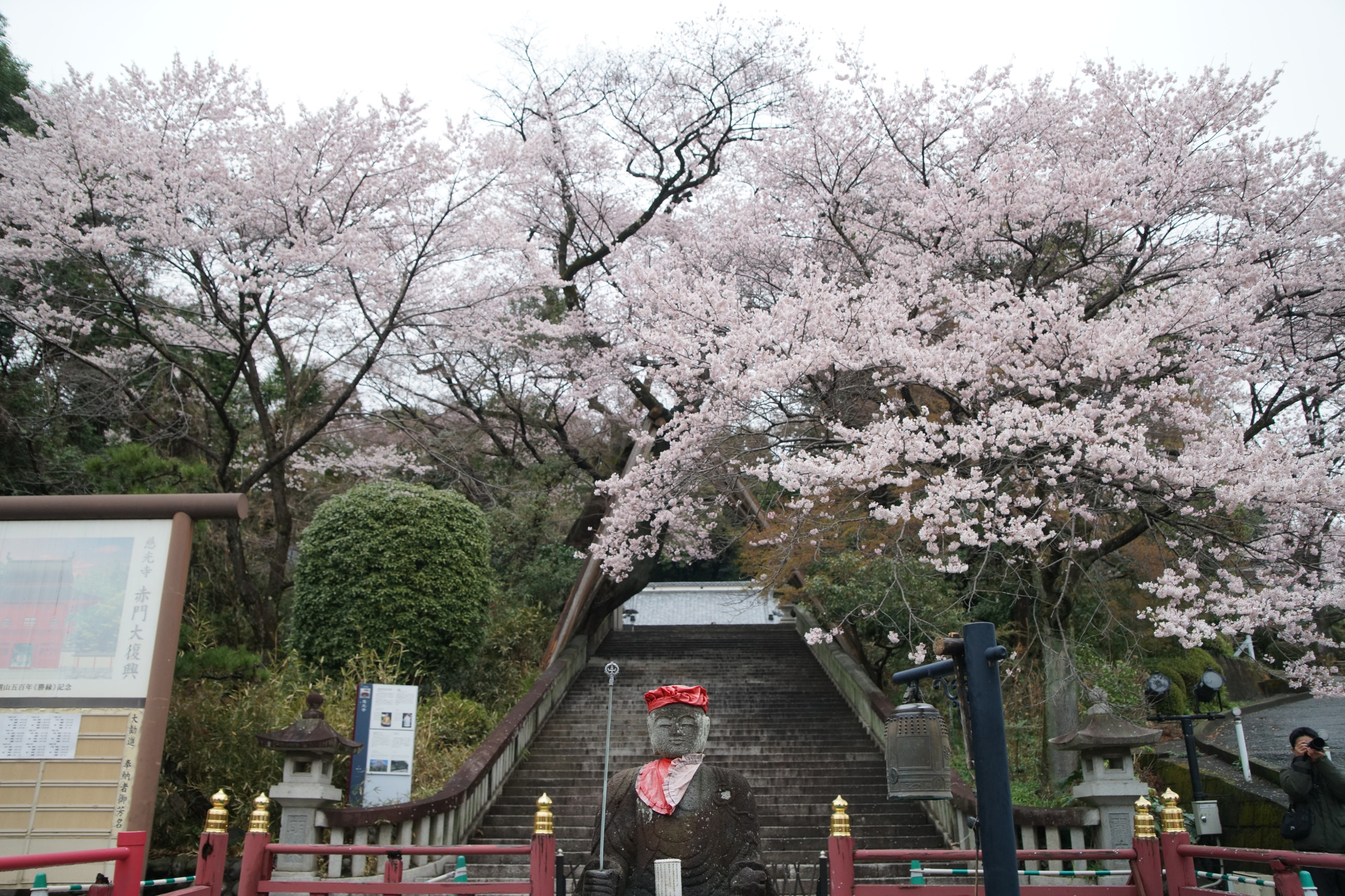 2025年3月29日(土)