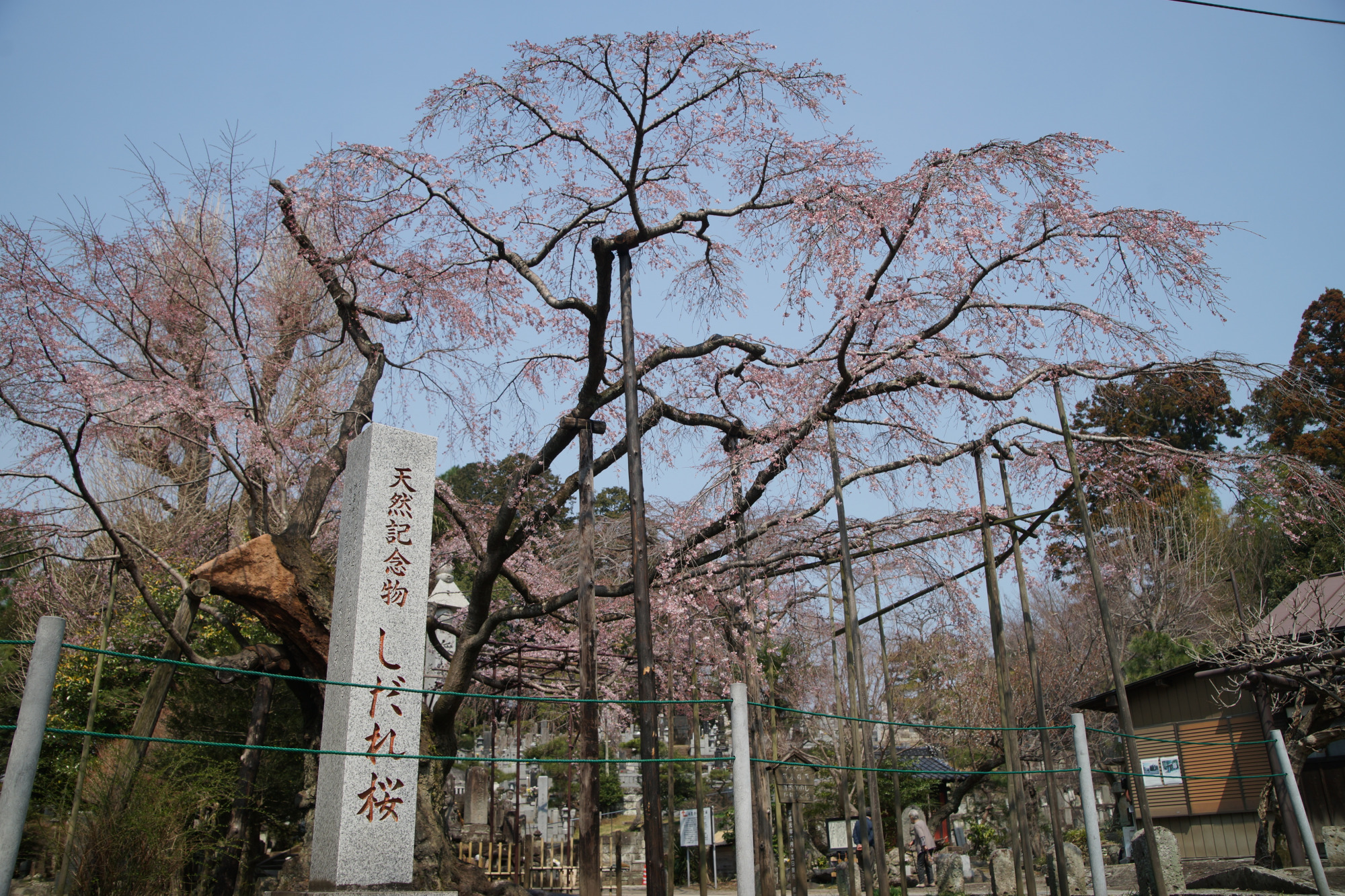 2025年3月26日(水)