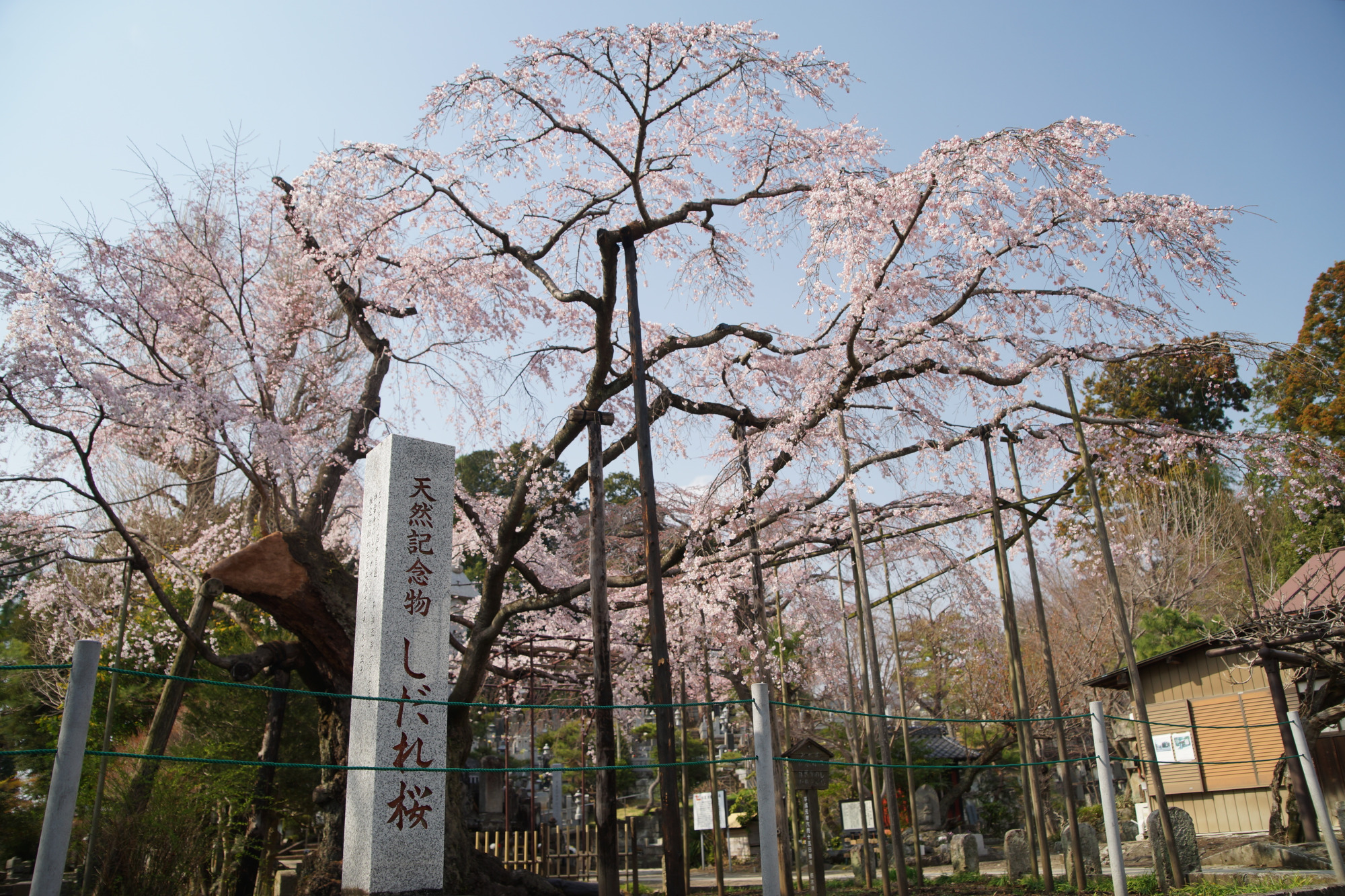2025年3月27日(木)