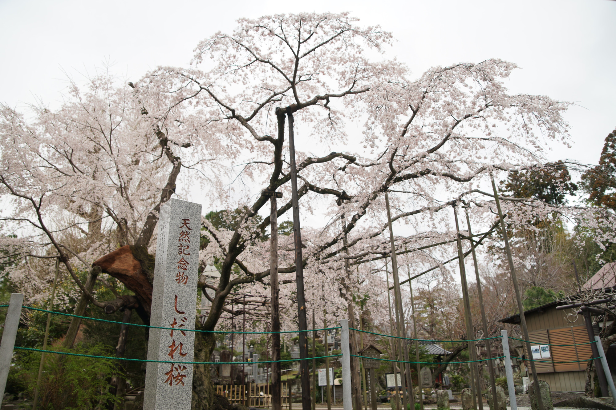 2025年4月2日(水)