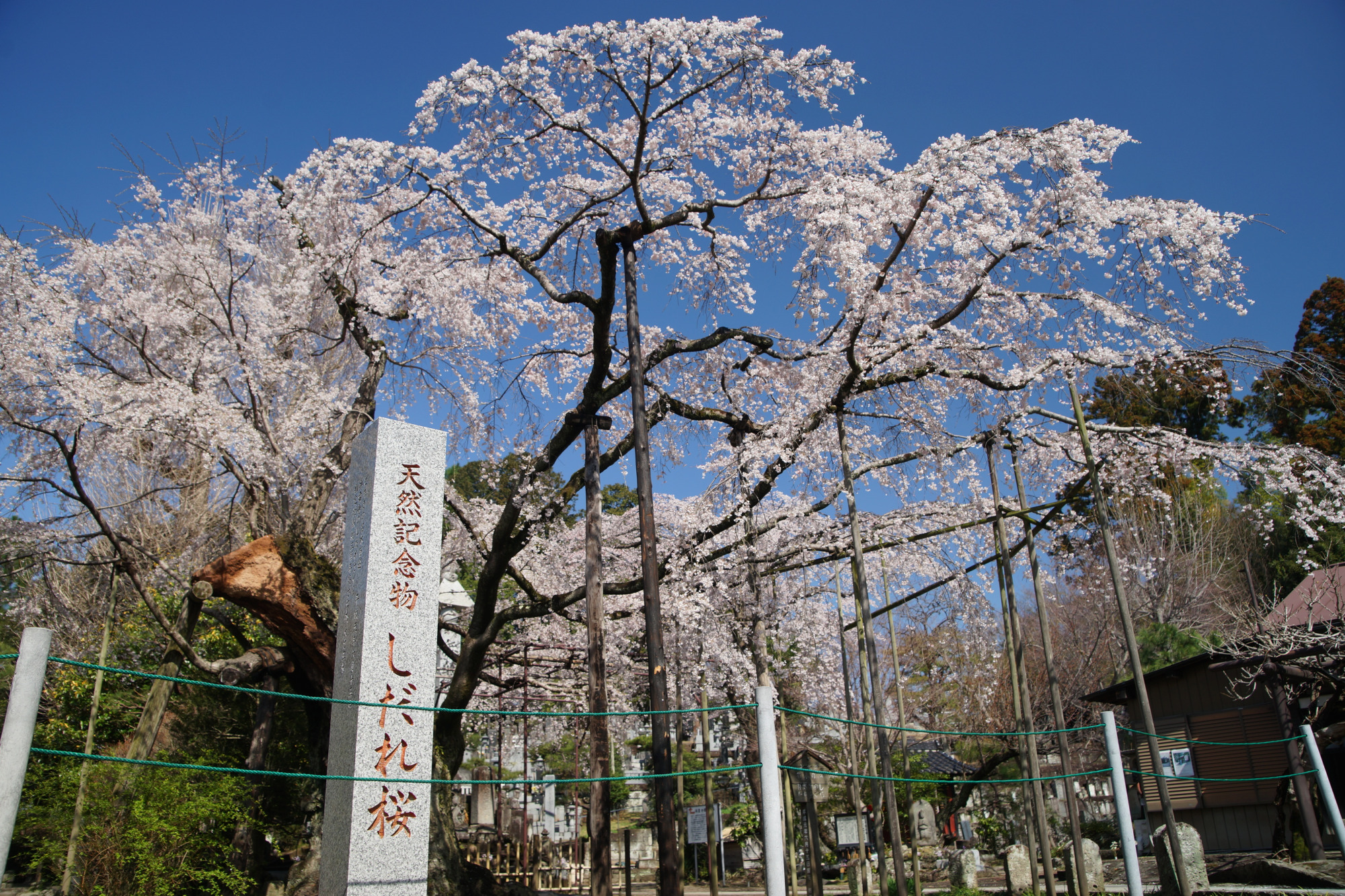 2025年4月4日(金)