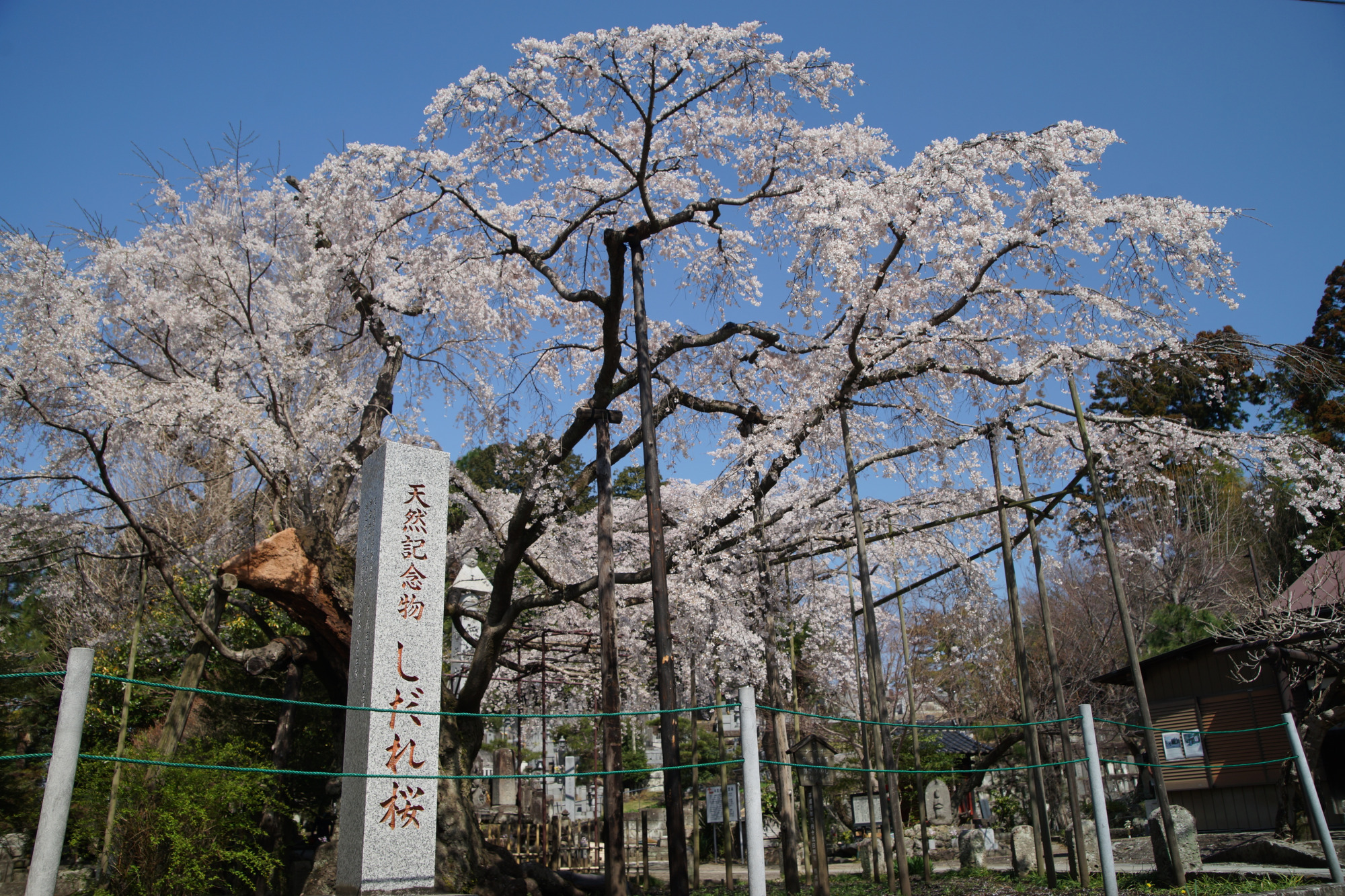 2025年4月5日(土)