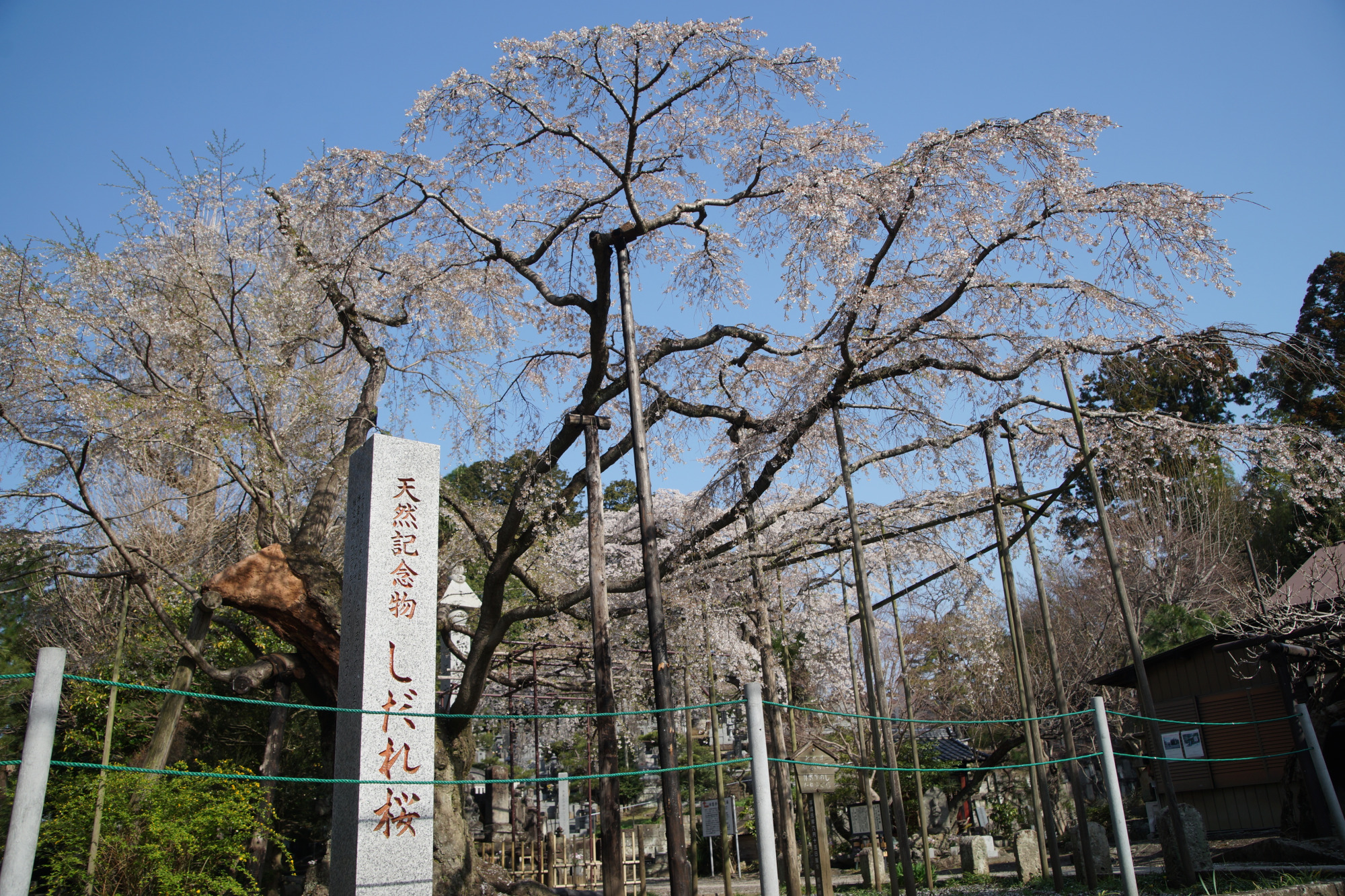 2025年4月8日(火)