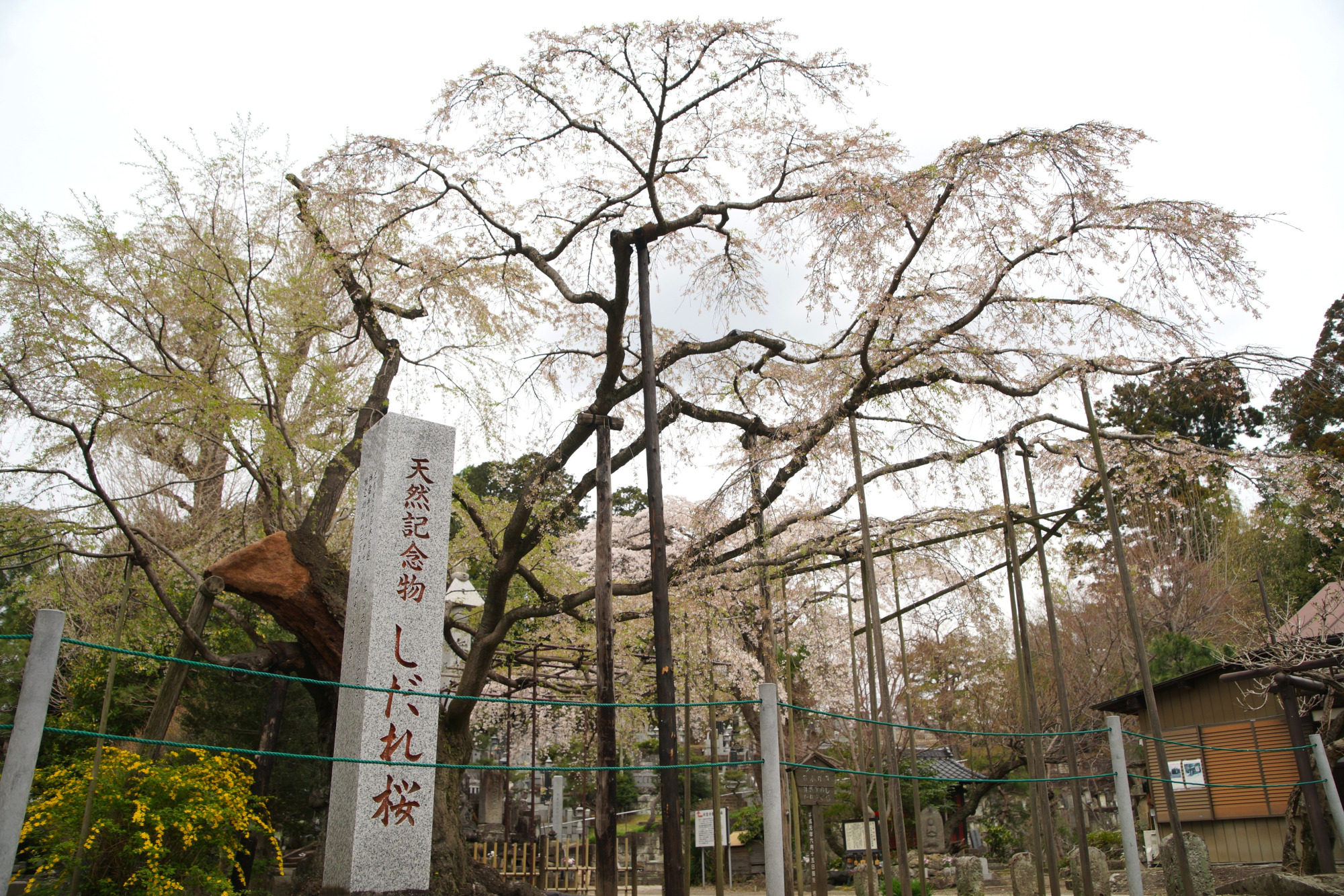 2025年4月10日(木)