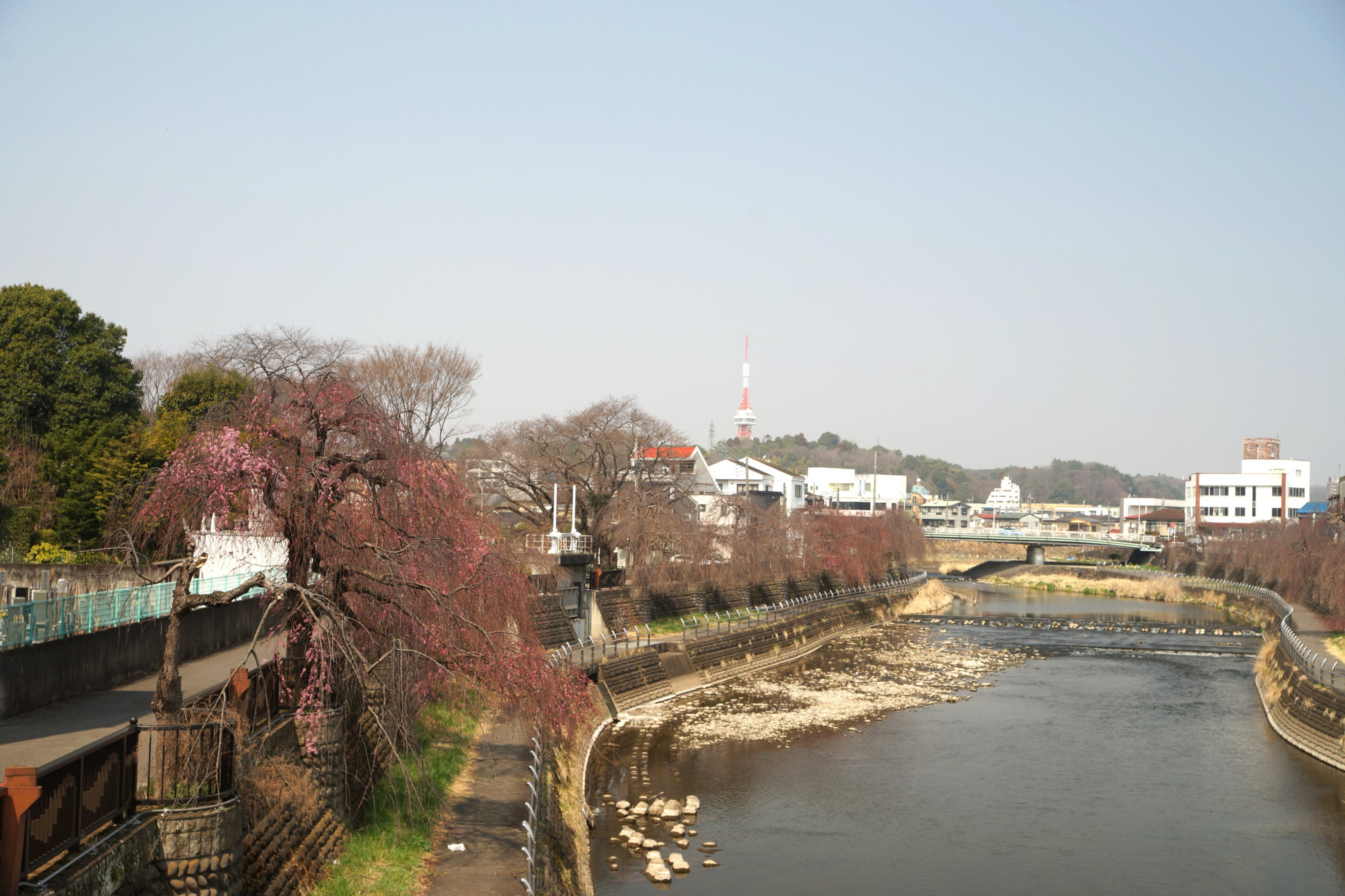 2025年3月26日(水)