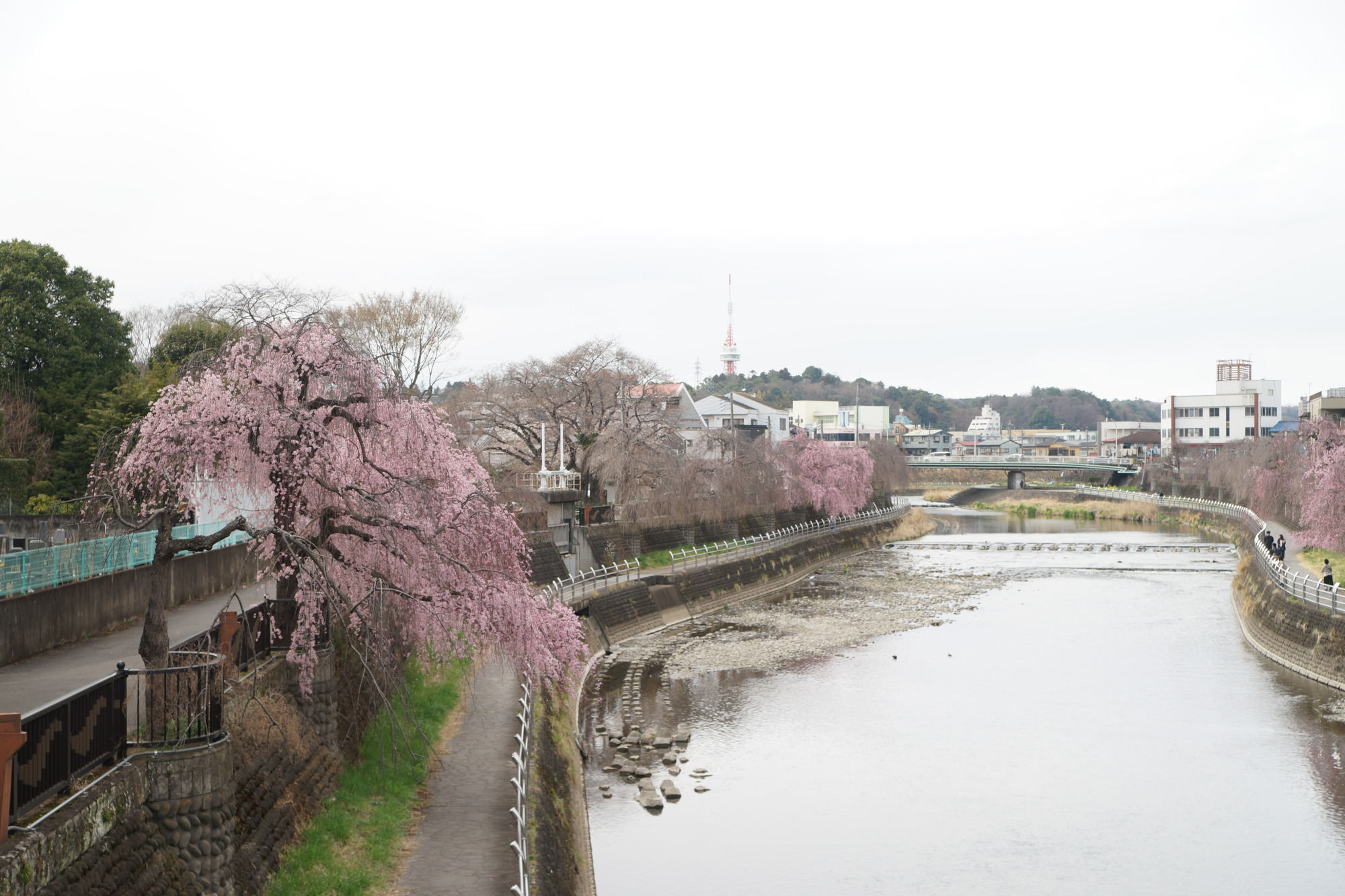 2025年3月30日(日)