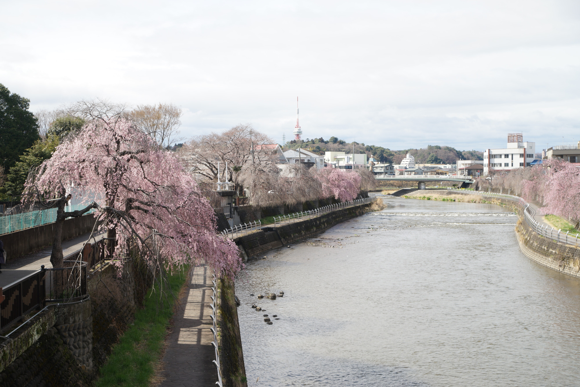 2025年4月2日(水)