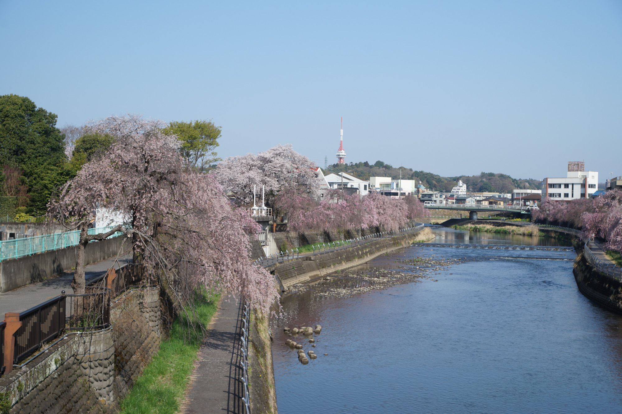 2025年4月12日(土)