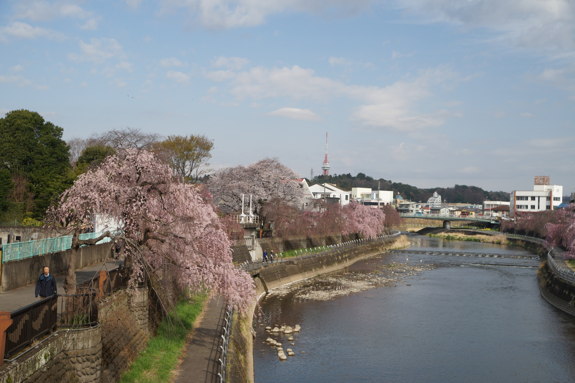 2025年4月7日(月)