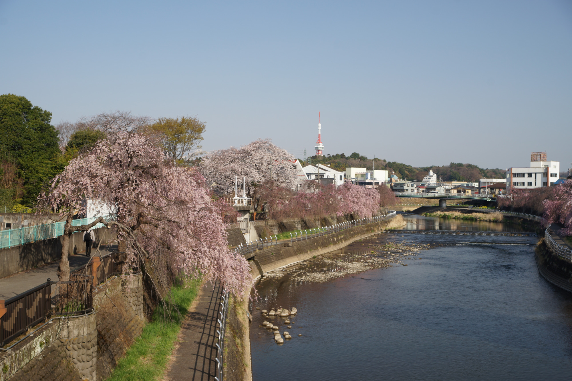 2025年4月8日(火)