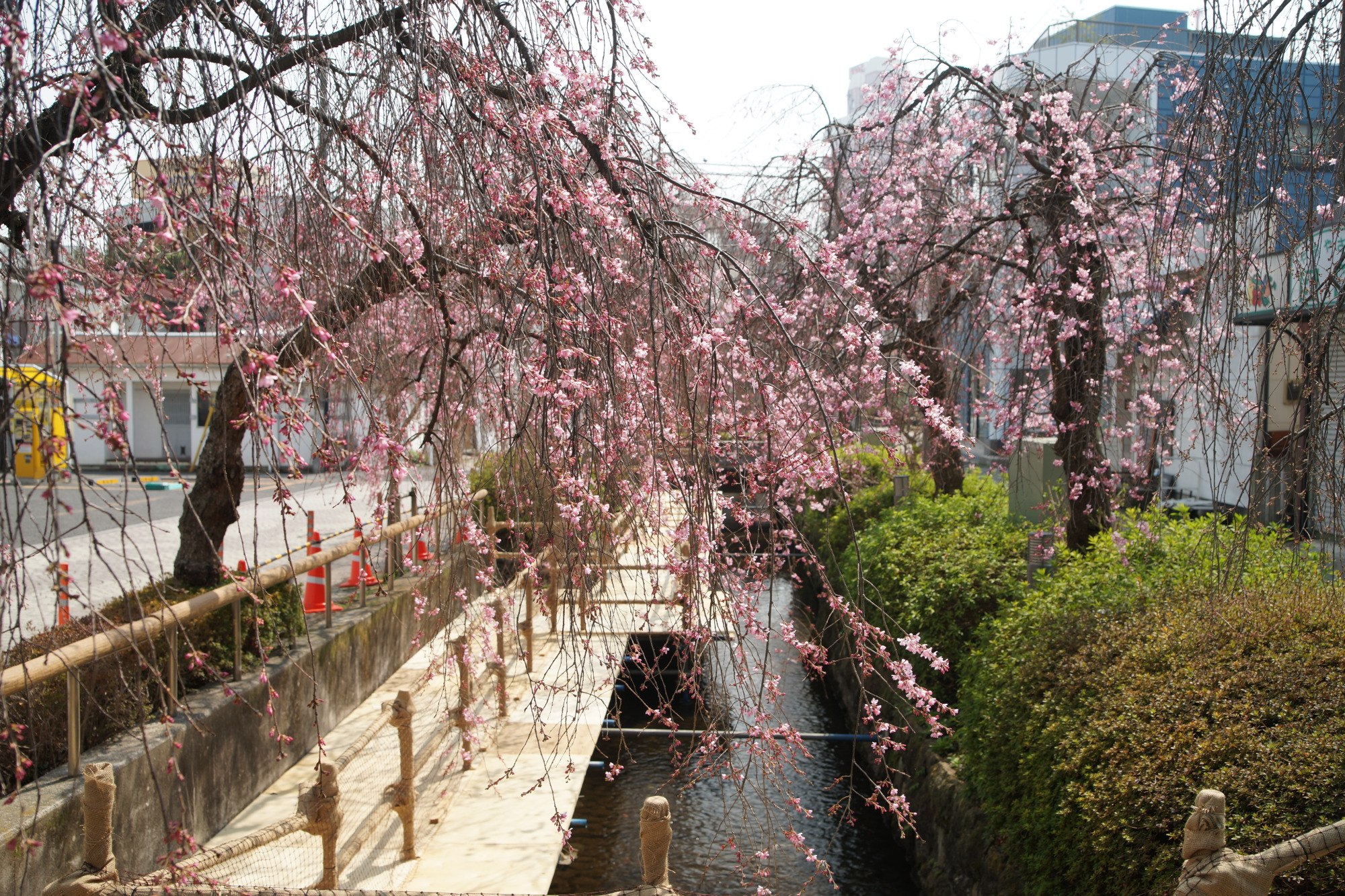2025年3月26日(水)