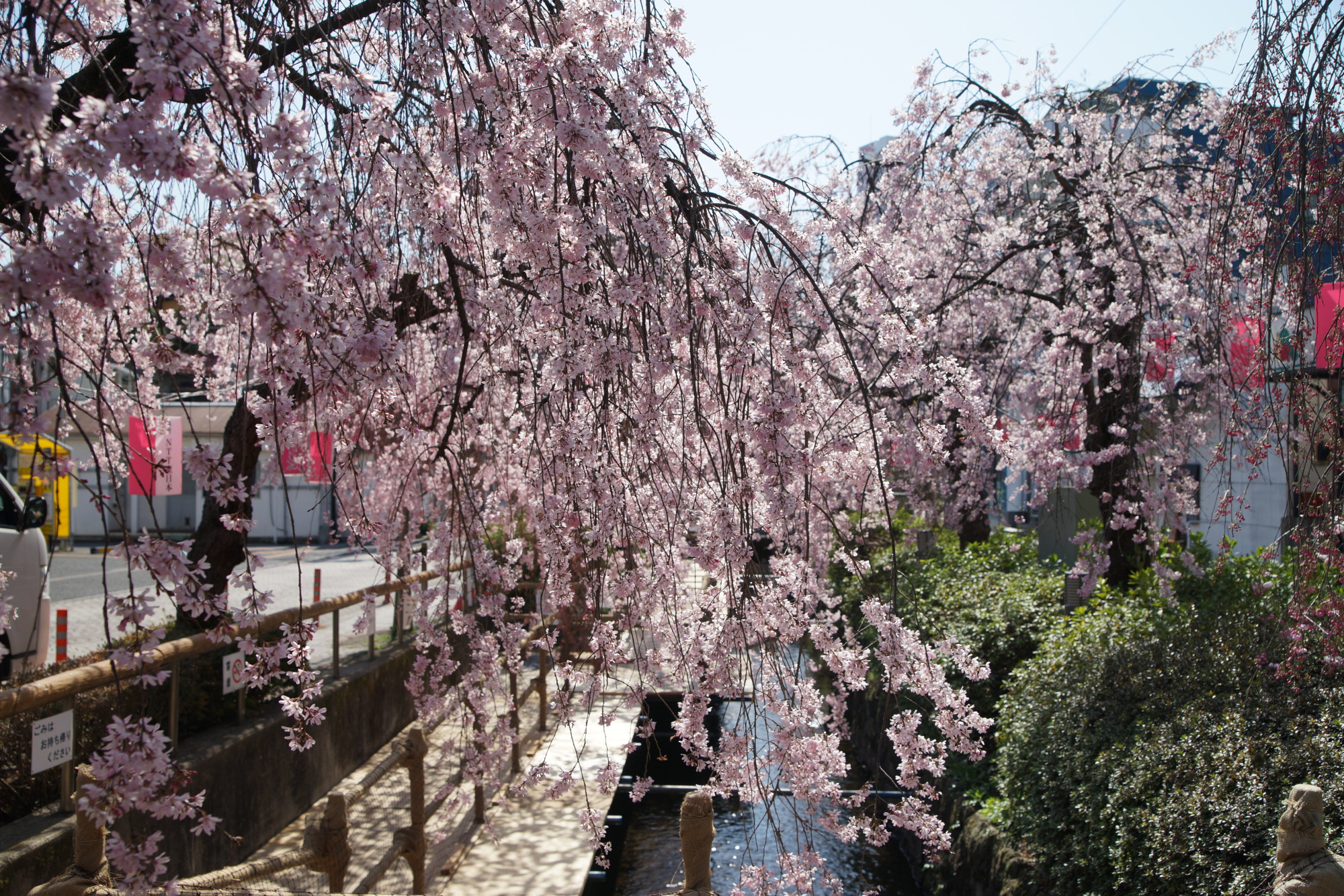 2025年4月5日(土)