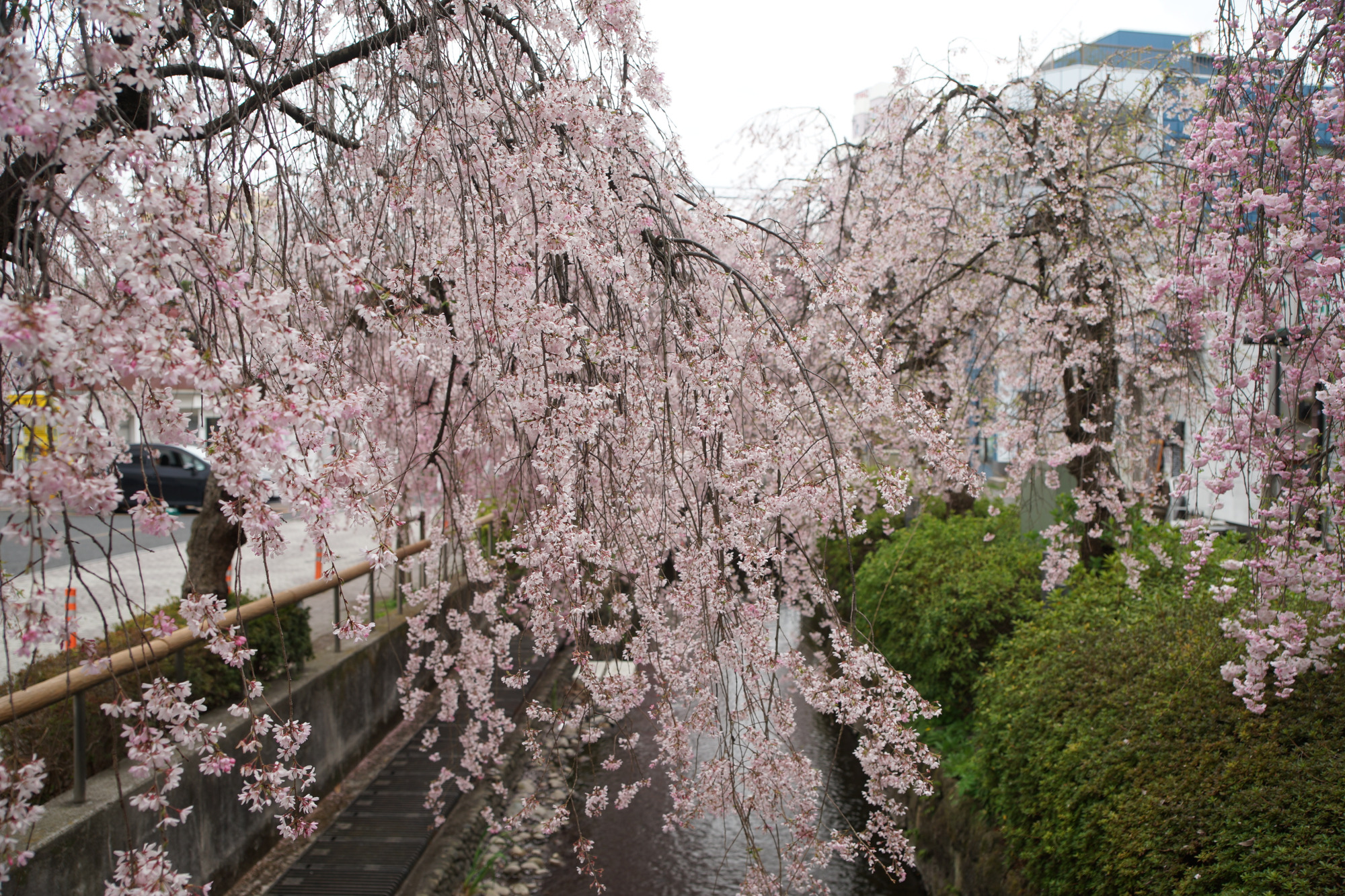 2025年4月10日(木)