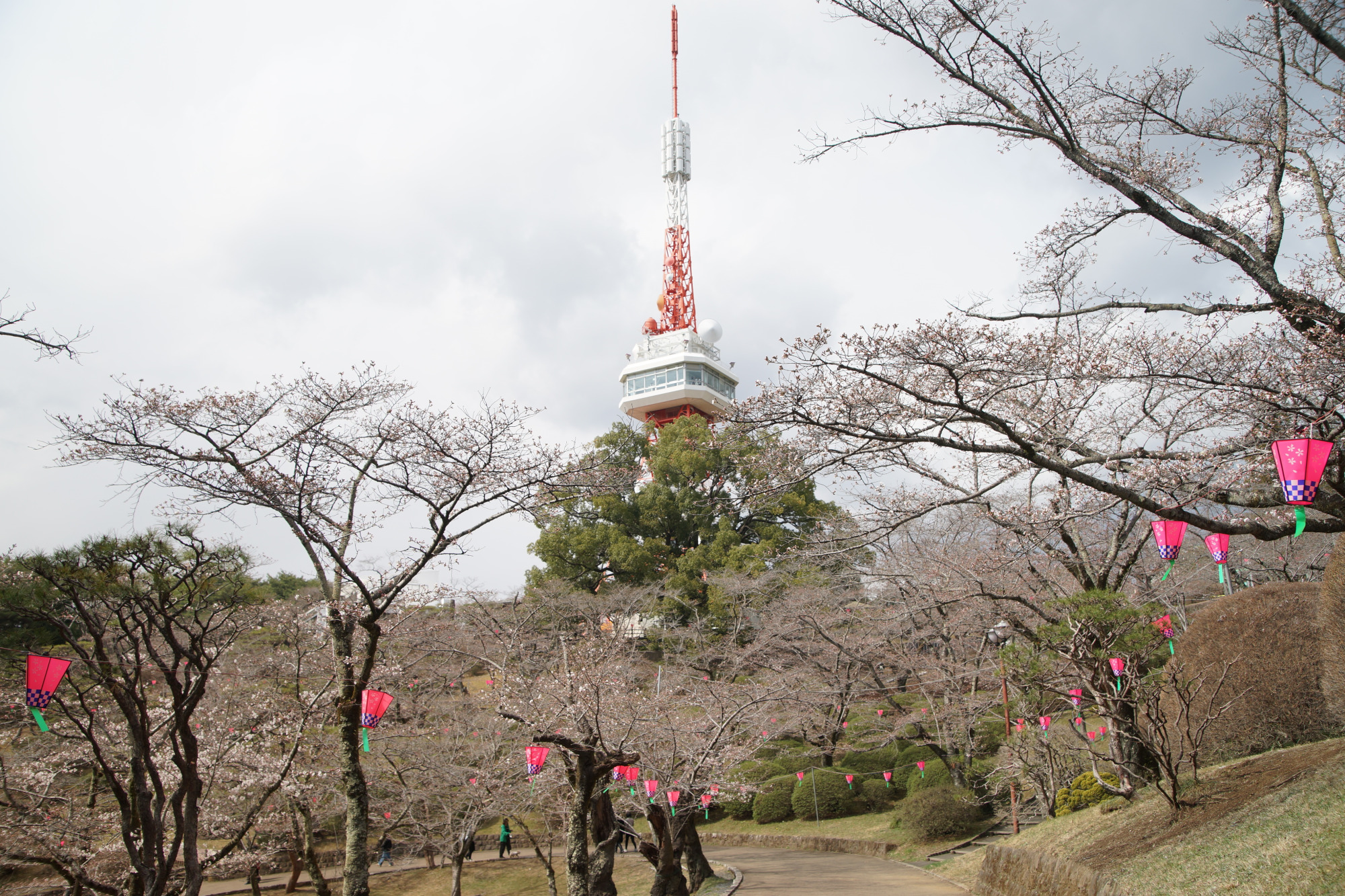 2025年3月30日(日)