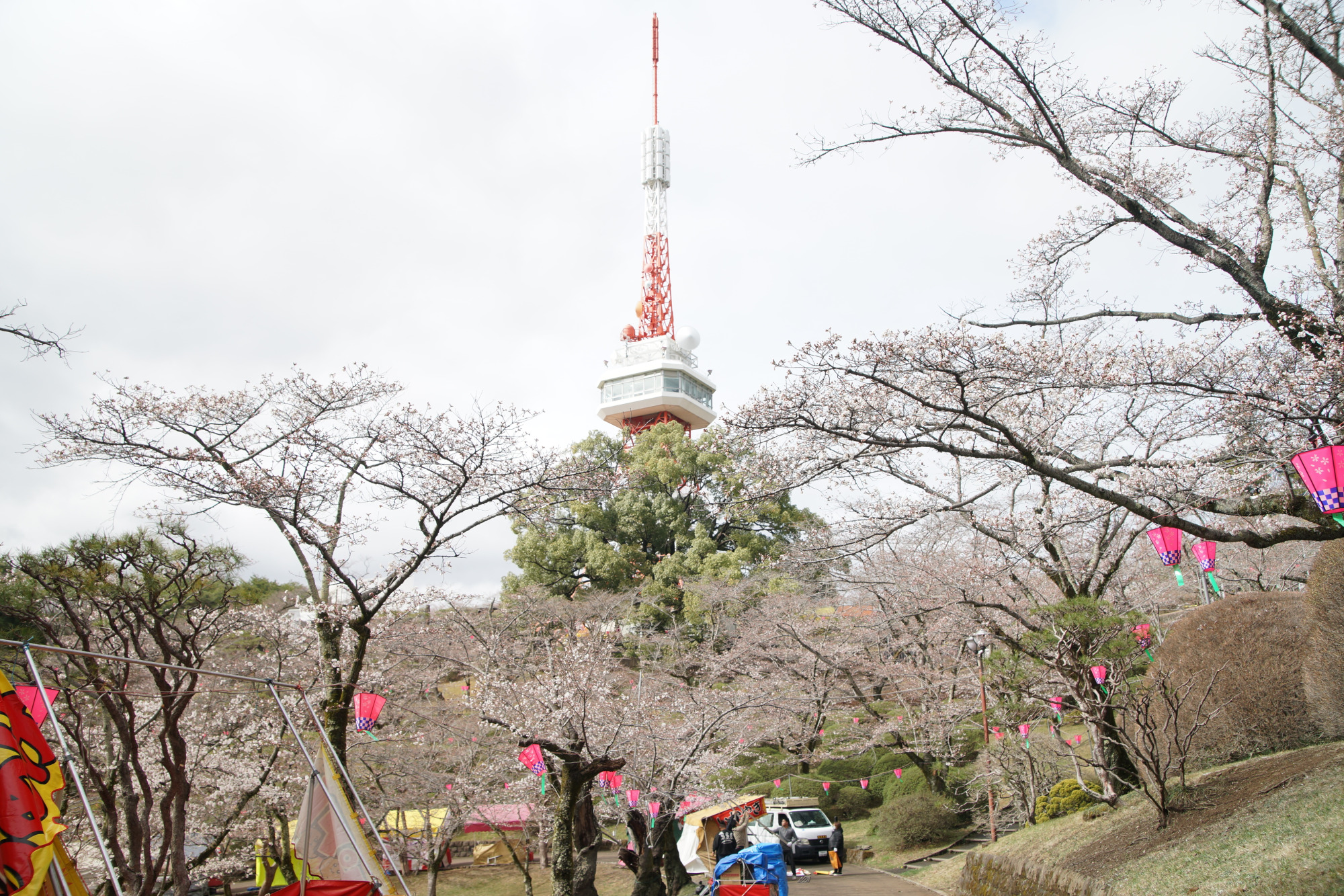 2025年4月2日(水)