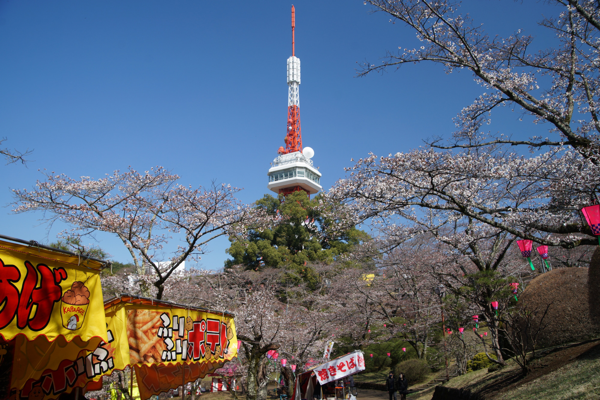 2025年4月4日(金)