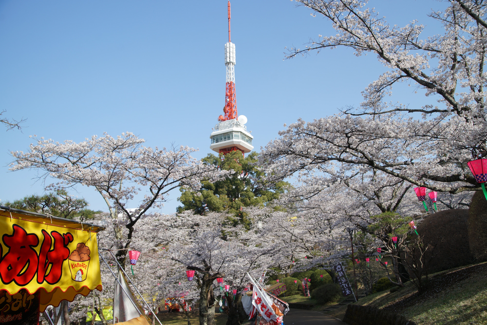 2025年4月8日(火)