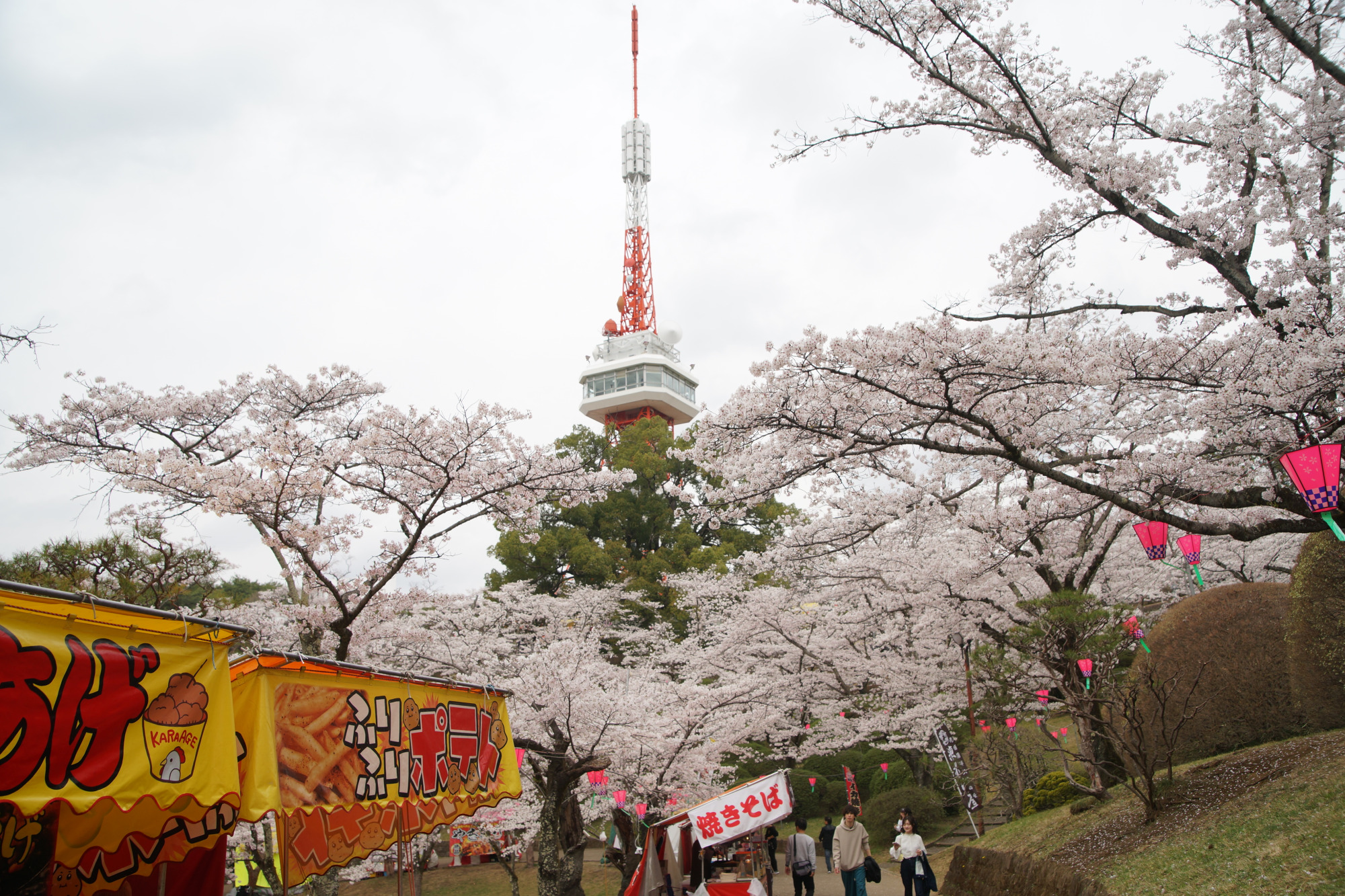 2025年4月10日(木)