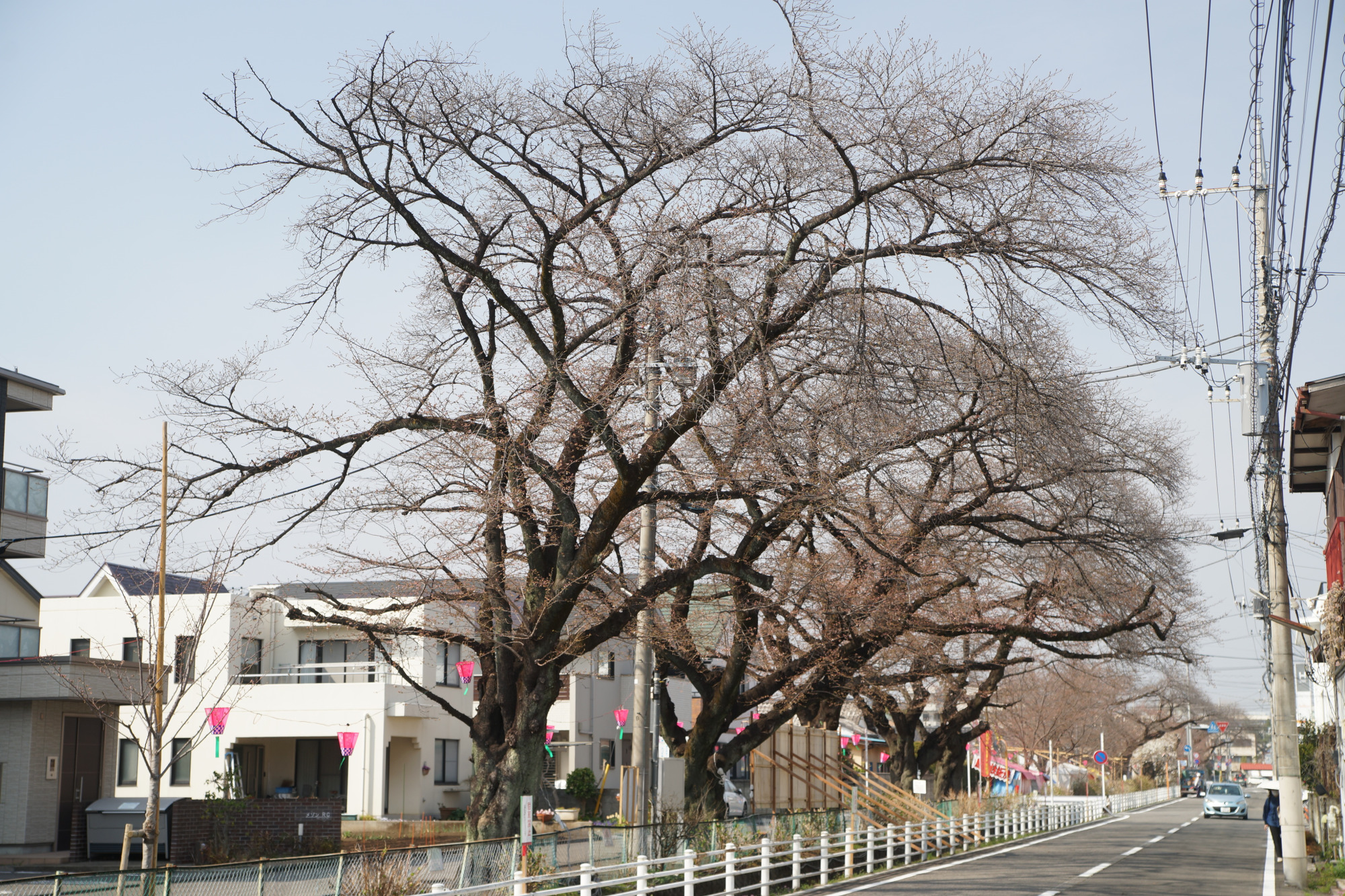 2025年3月27日(木)