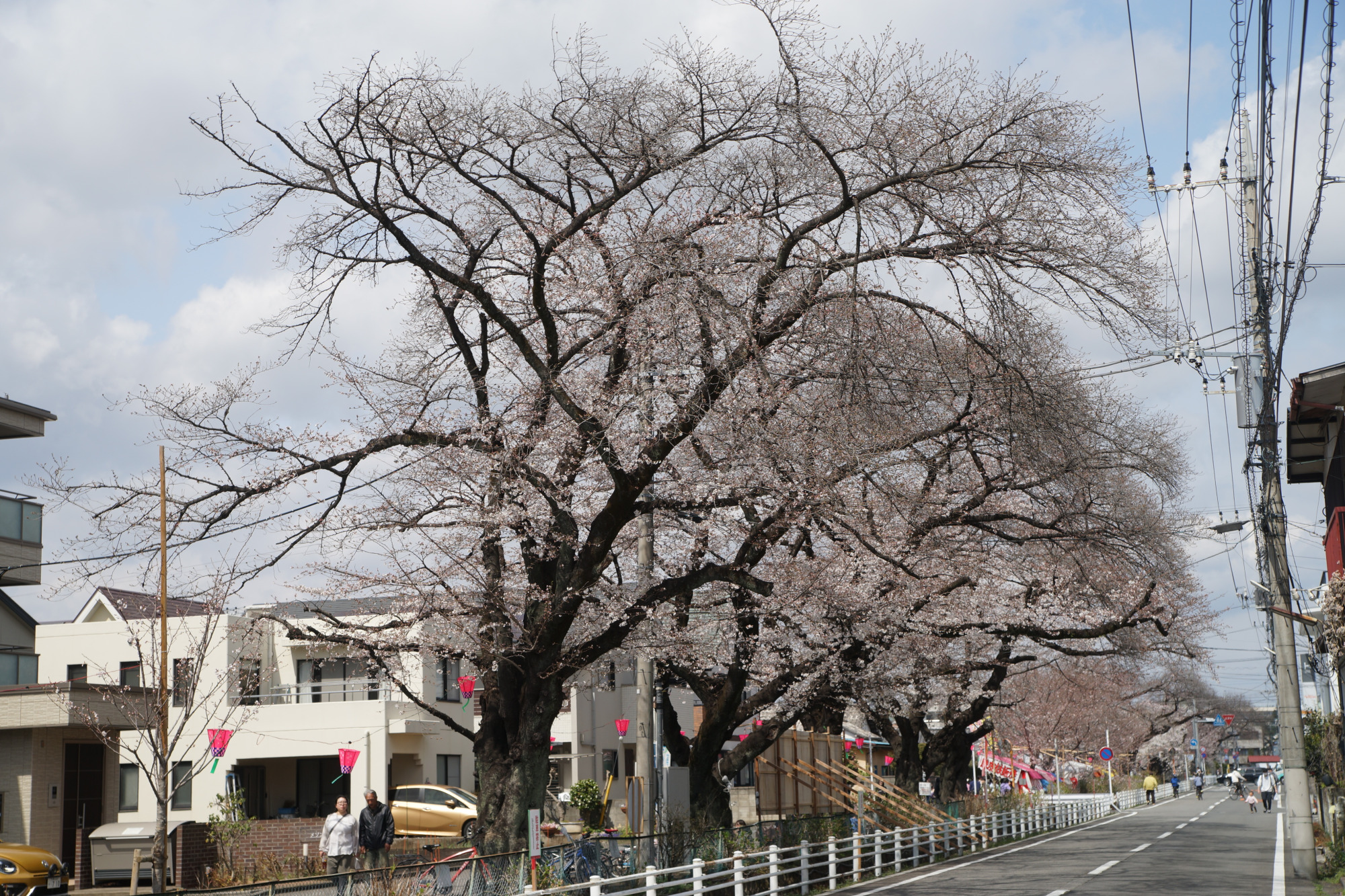 2025年3月30日(日)