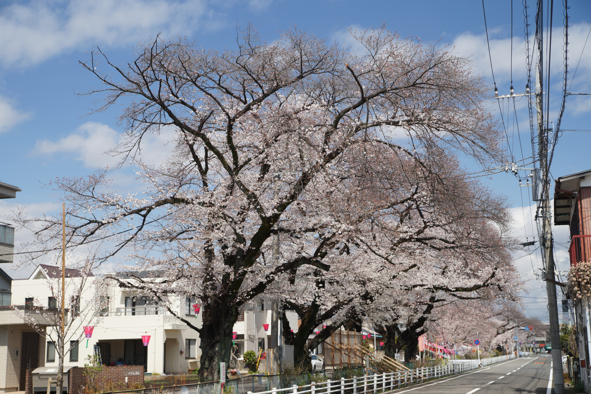 2025年4月4日(金)