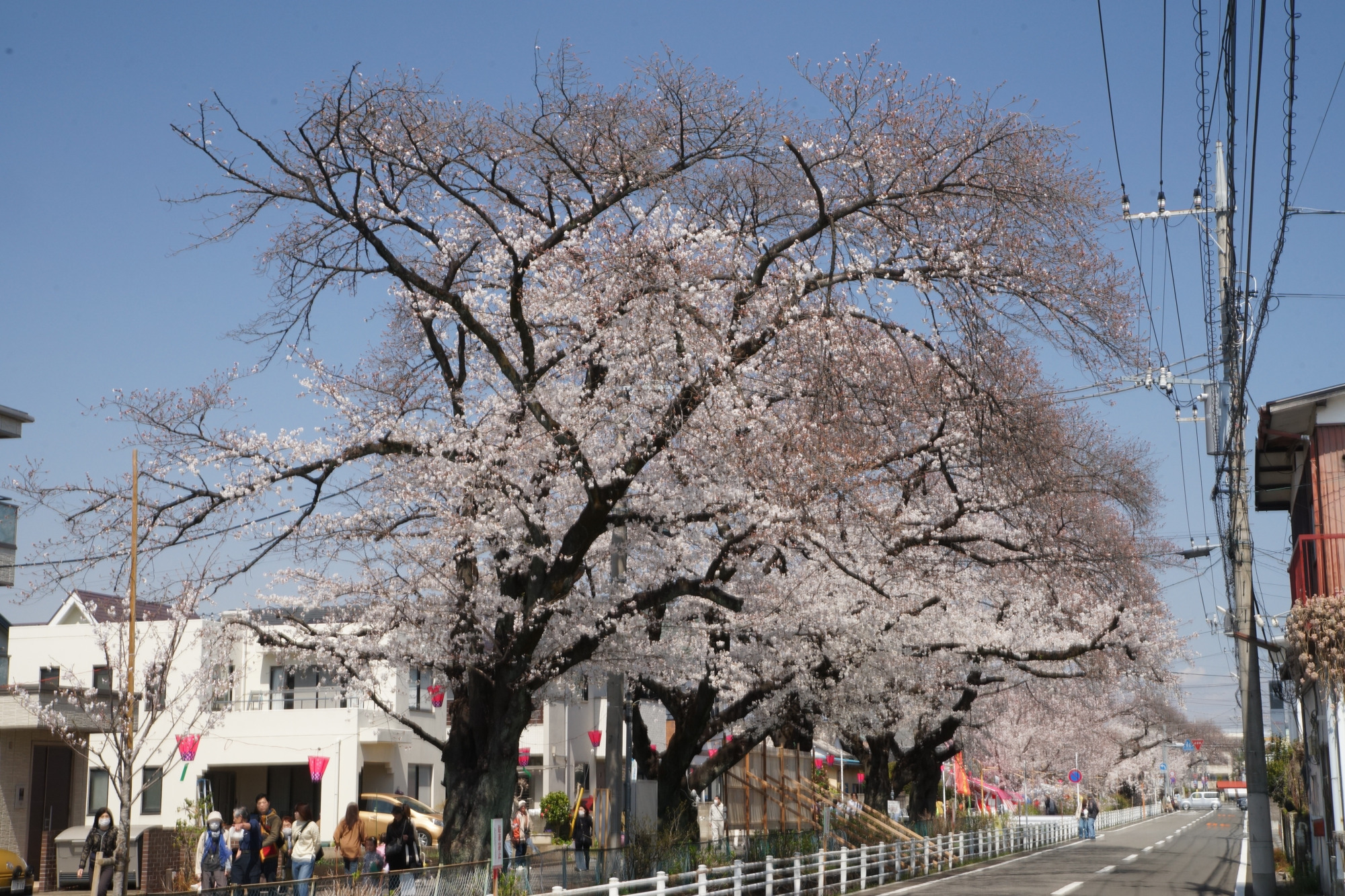 2025年4月5日(土)
