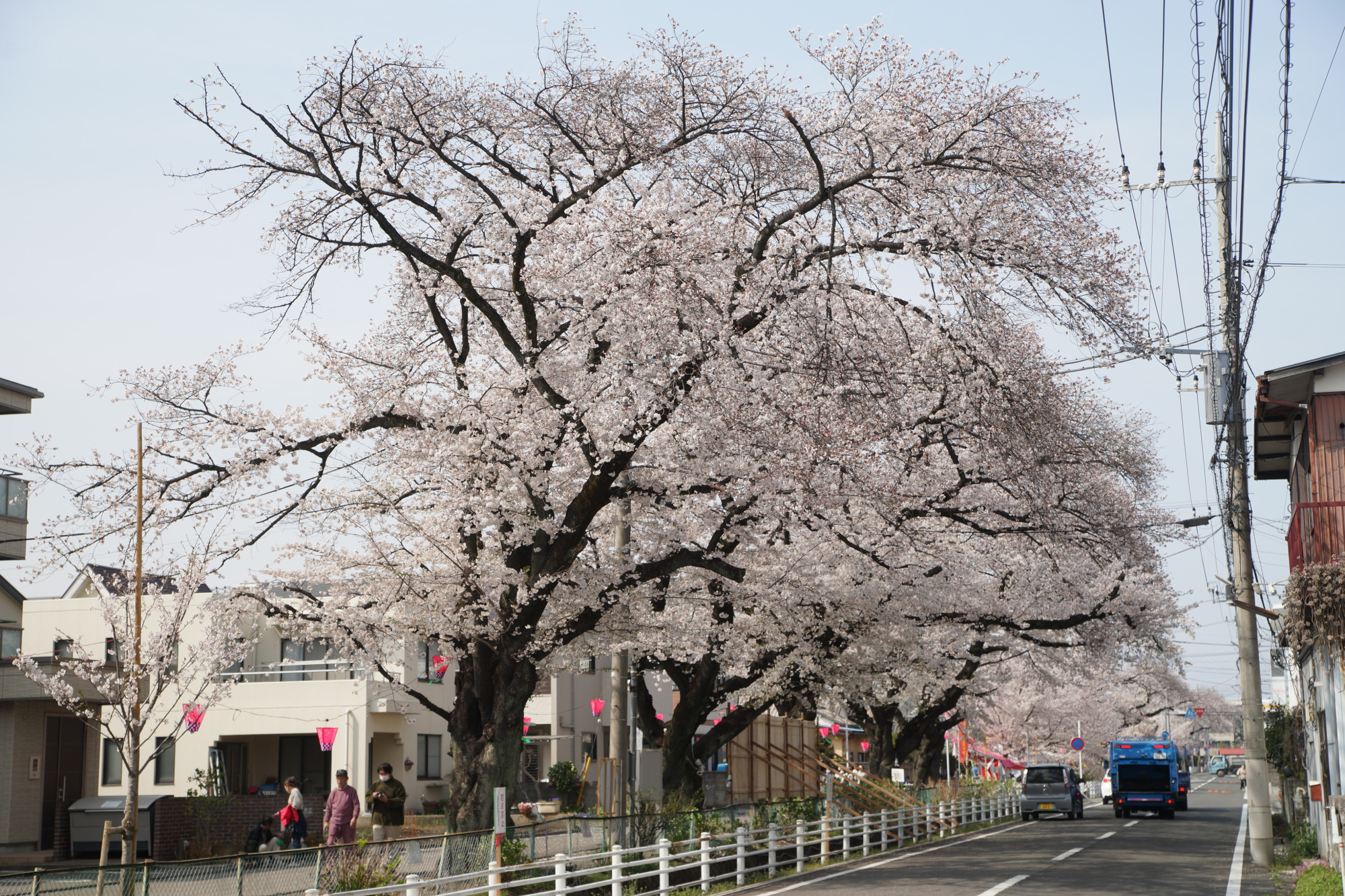 2025年4月8日(火)