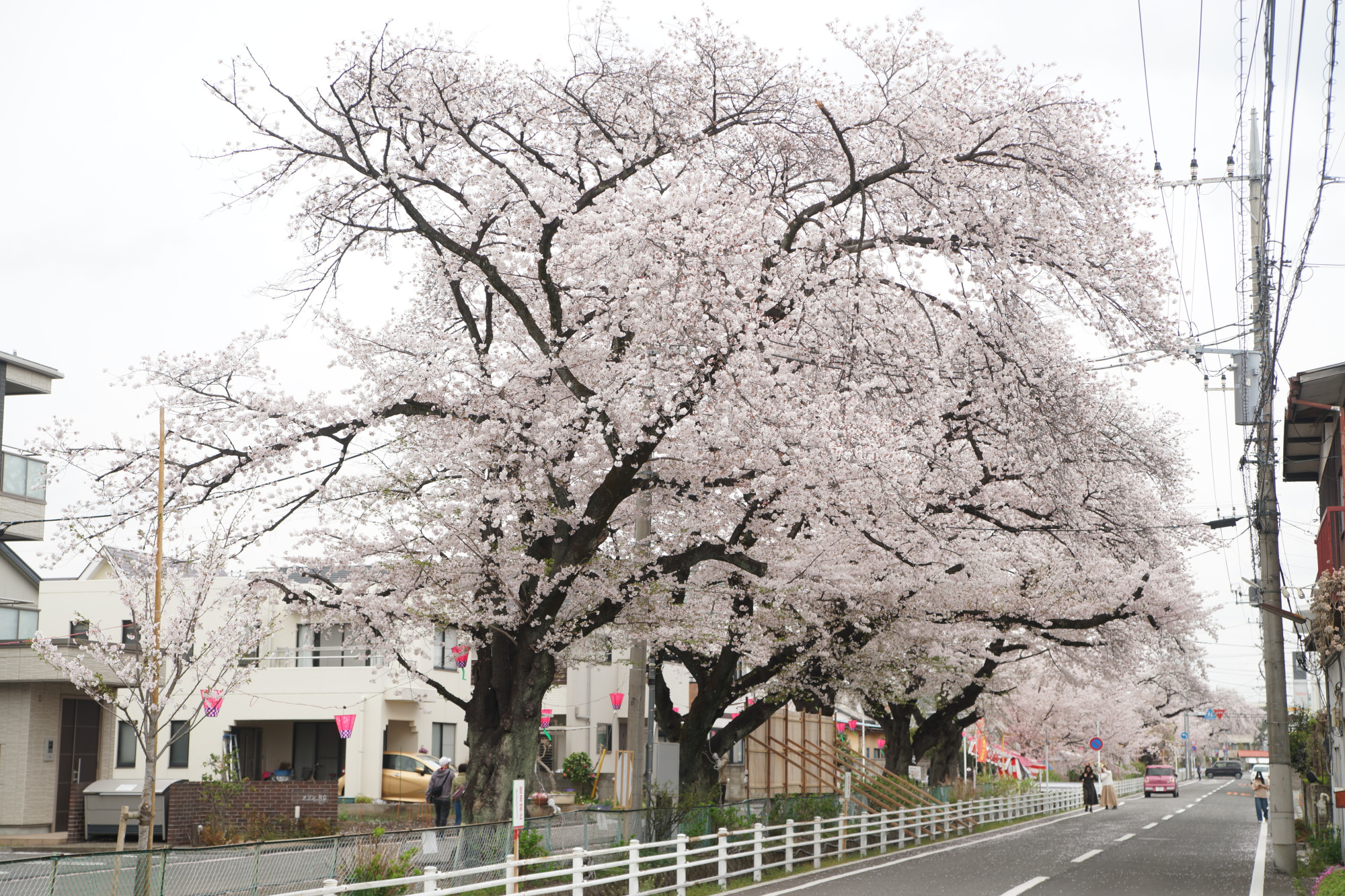 2025年4月10日(木)