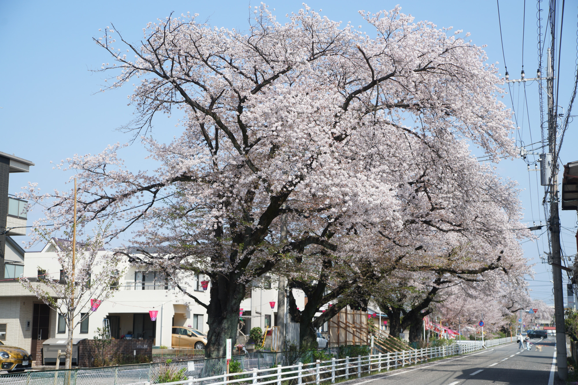 2025年4月12日(土)