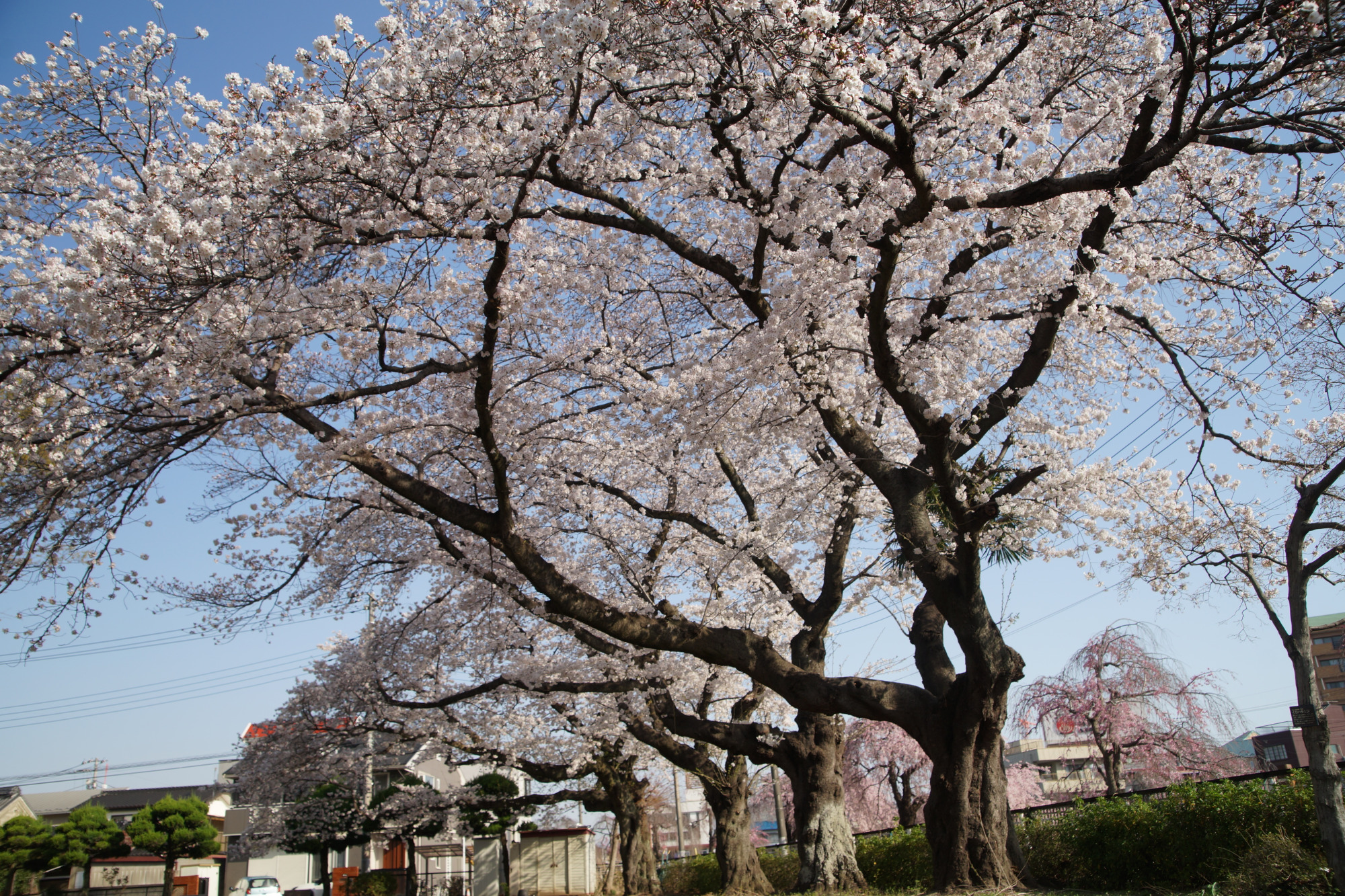 2025年4月8日(火)