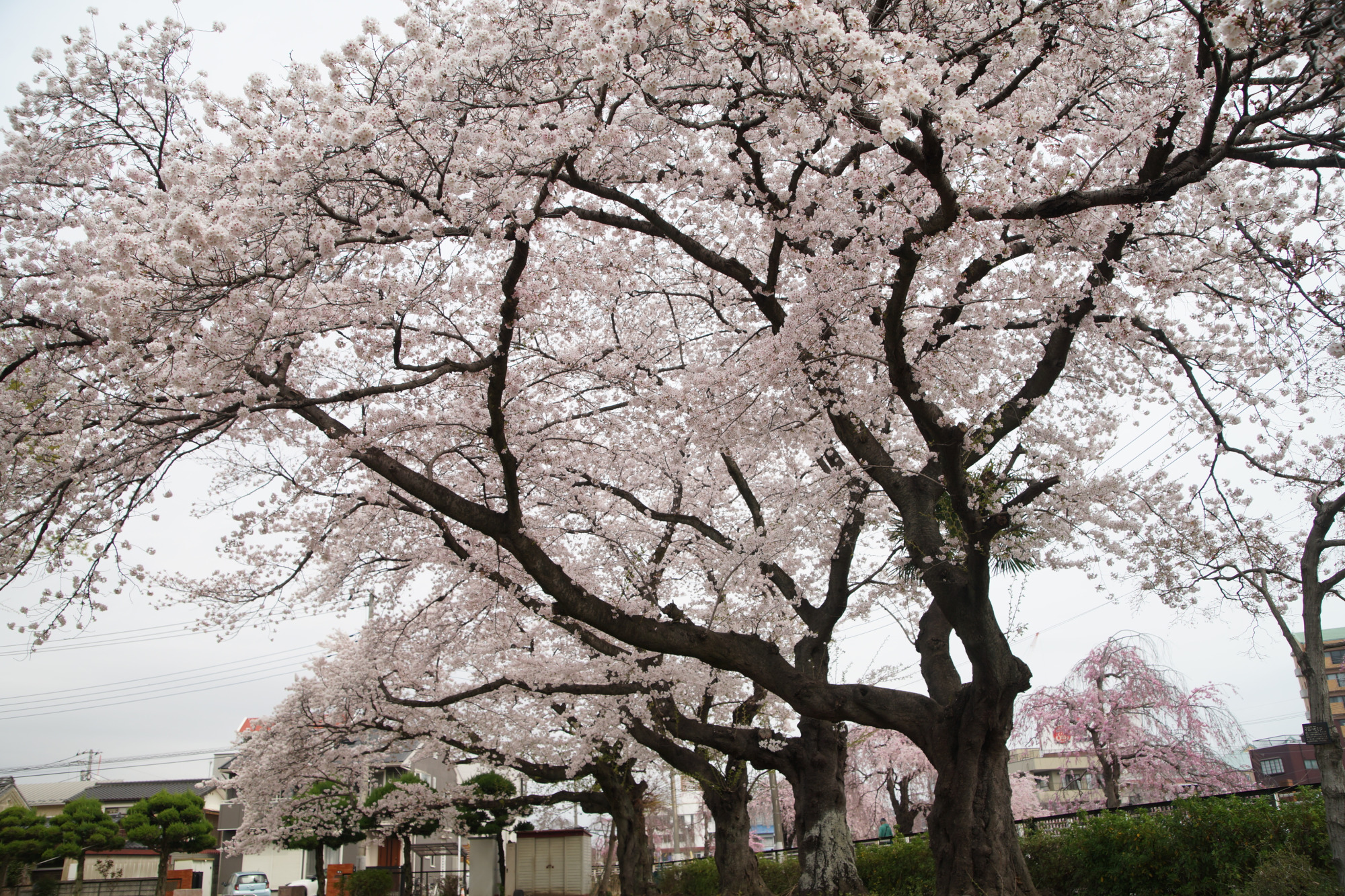 2025年4月10日(木)