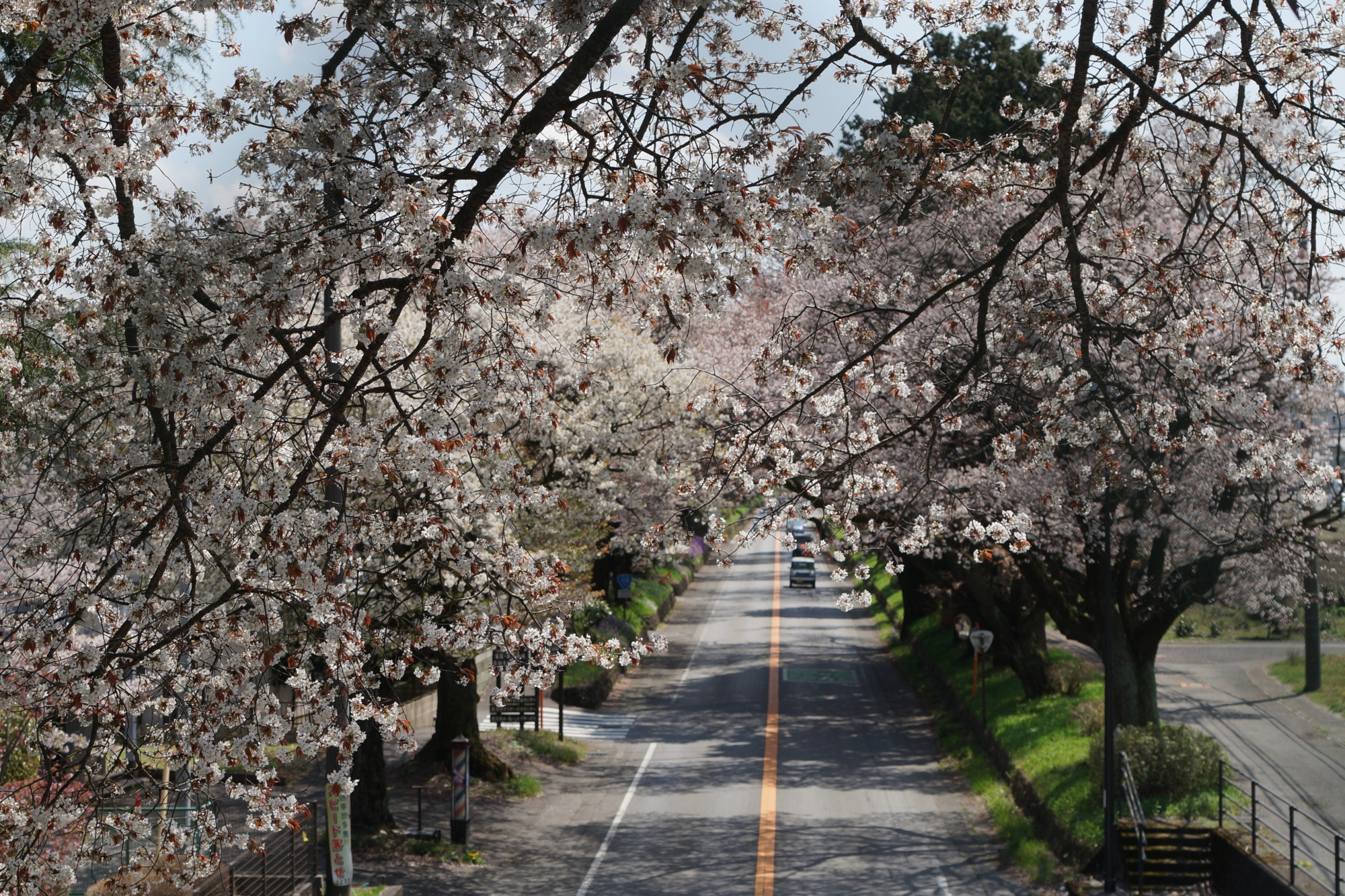 2025年4月12日(土)