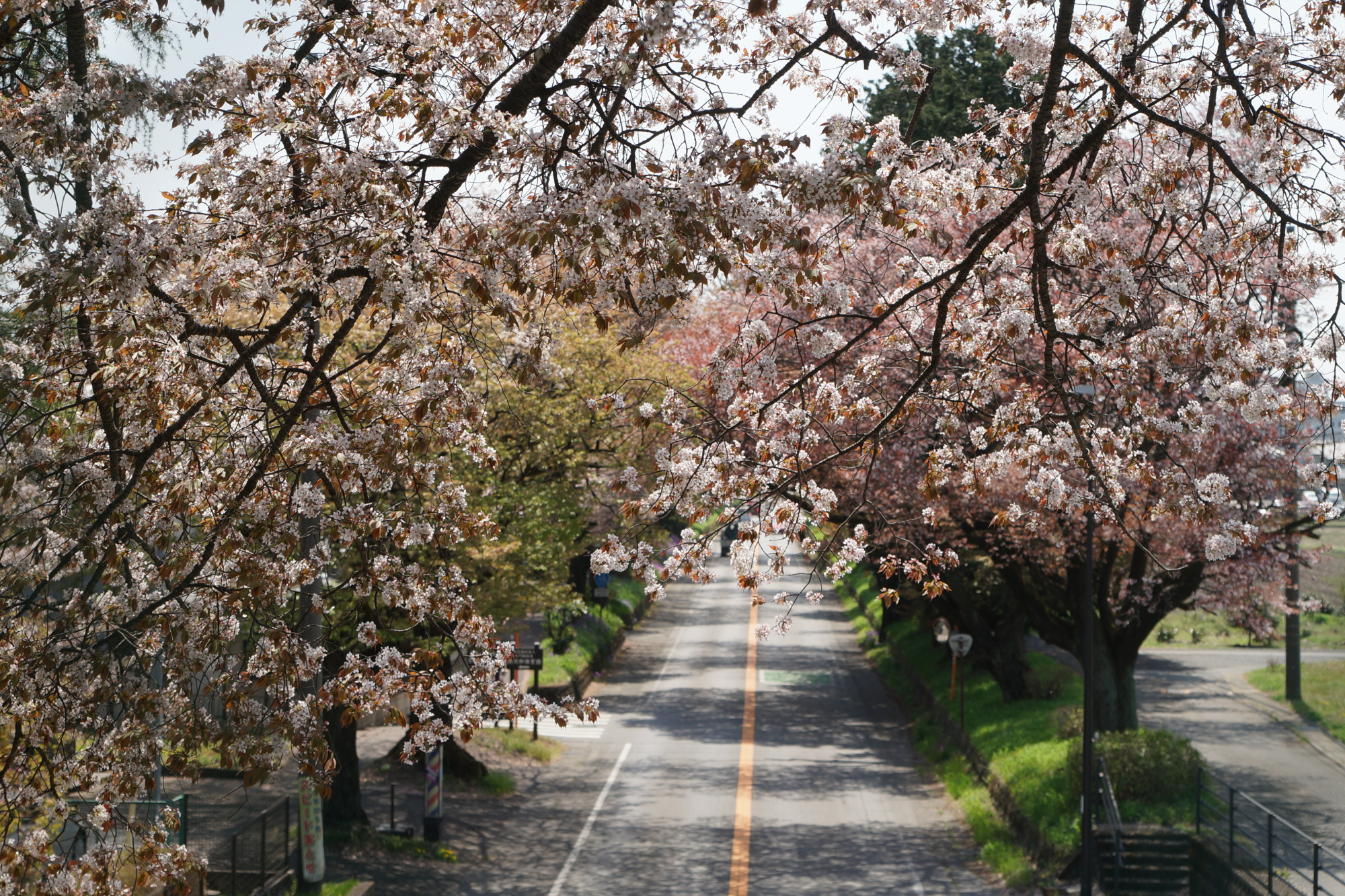 2025年4月17日(木)