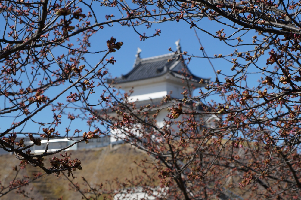 2024年2月28日（水）