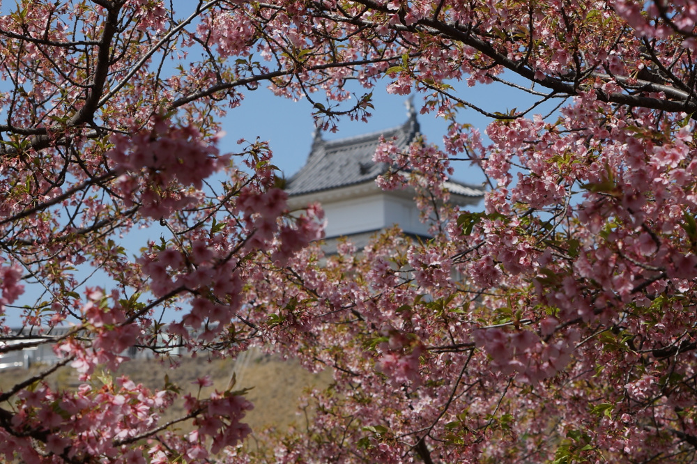2024年3月31日（日）