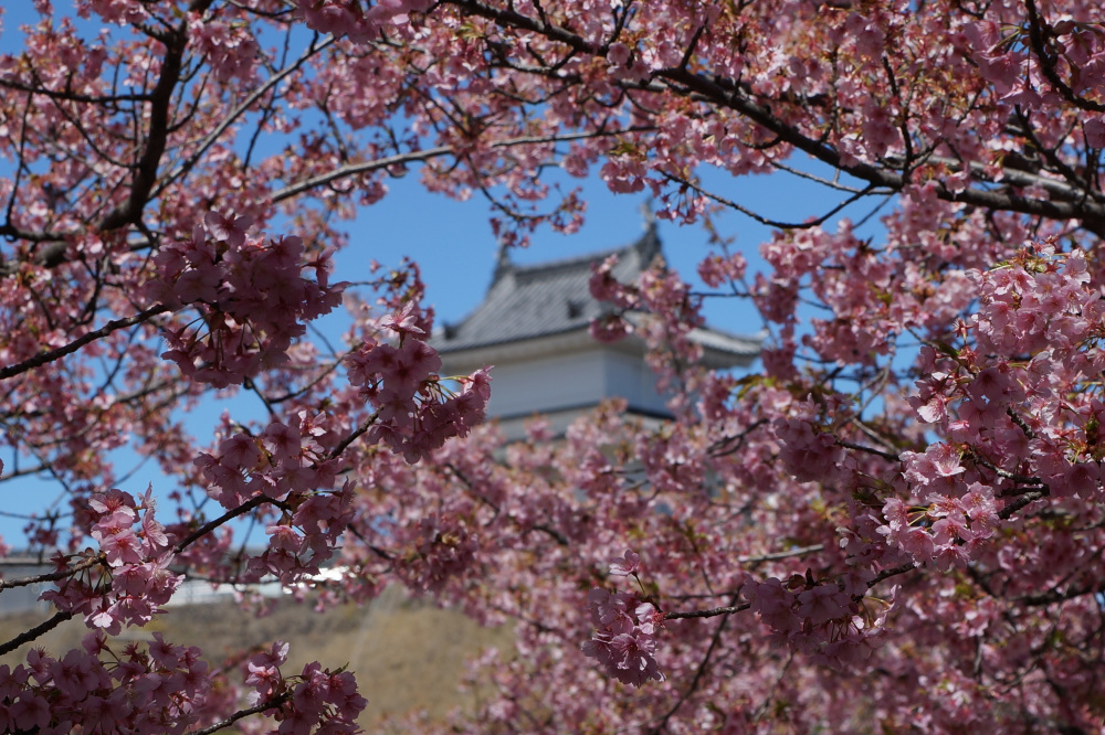 2024年3月27日（水）