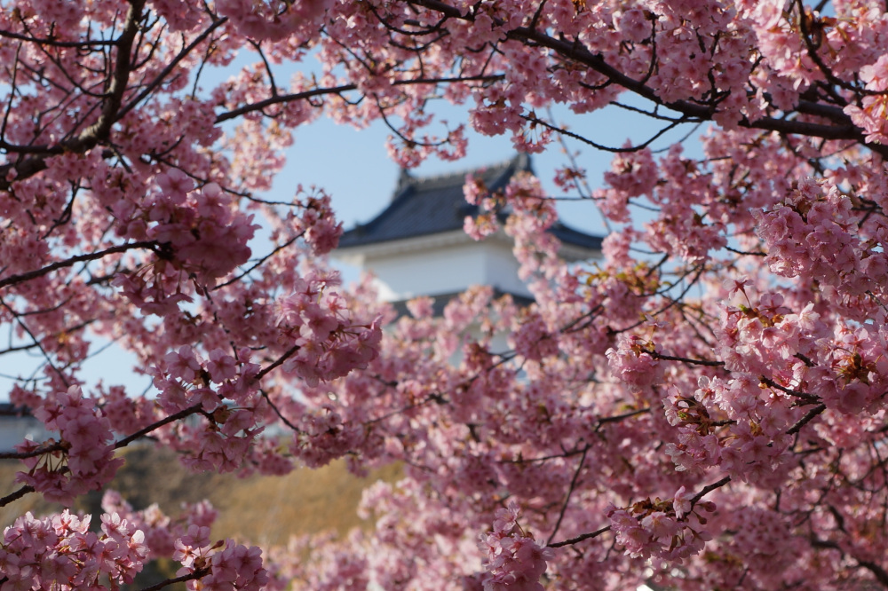 2024年3月23日（土）