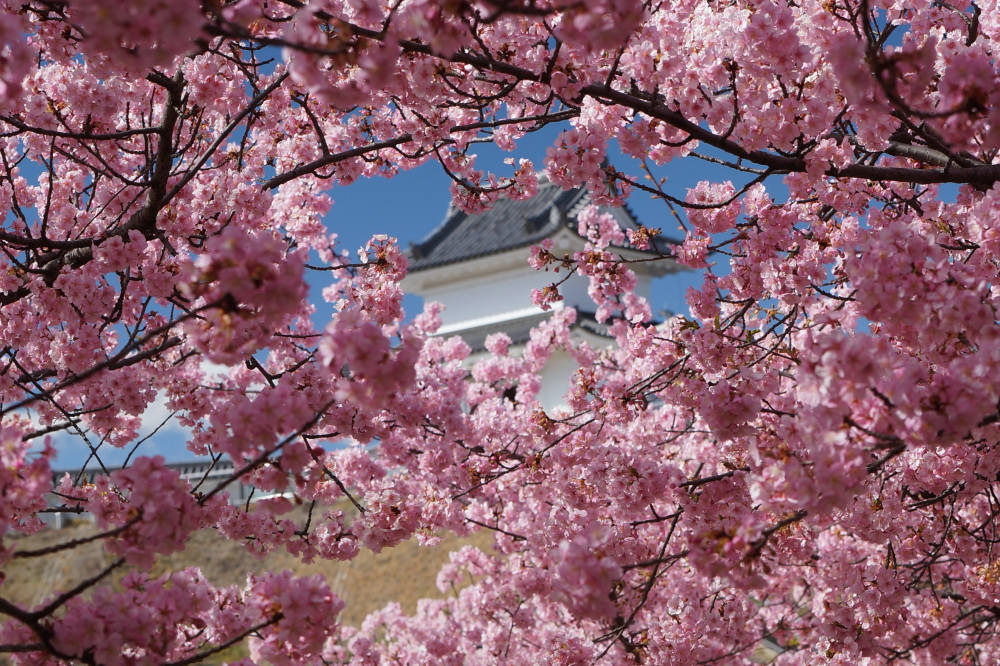 2024年3月18日（月）