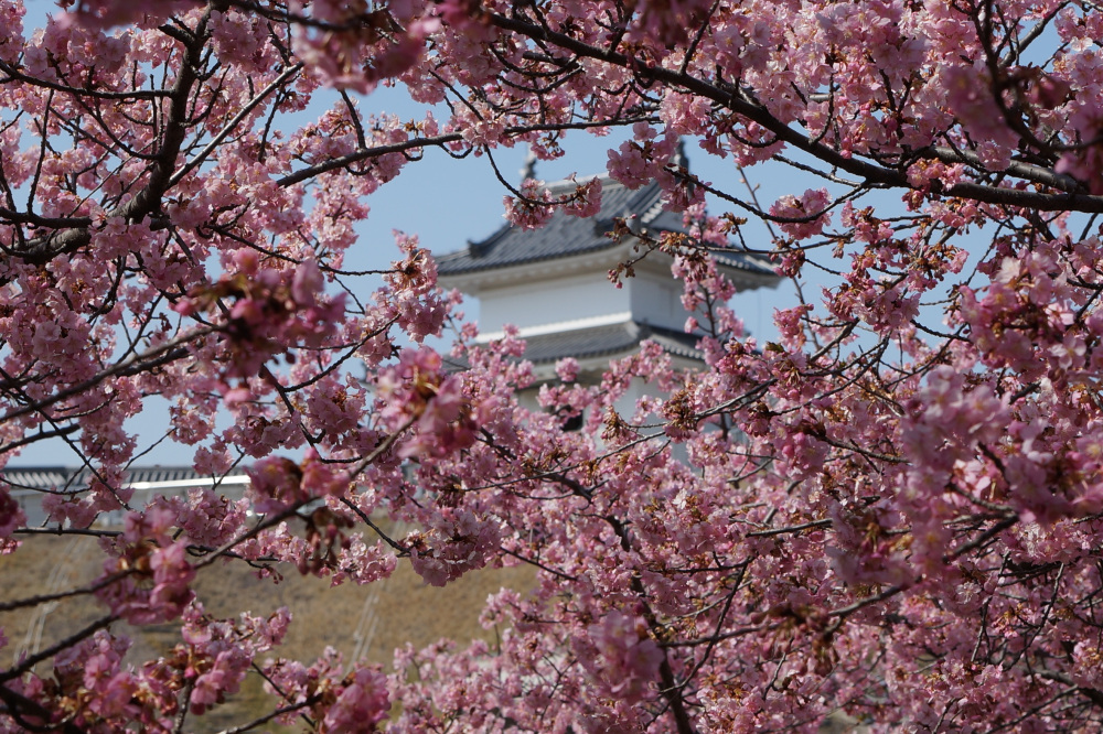 2024年3月16日（土）