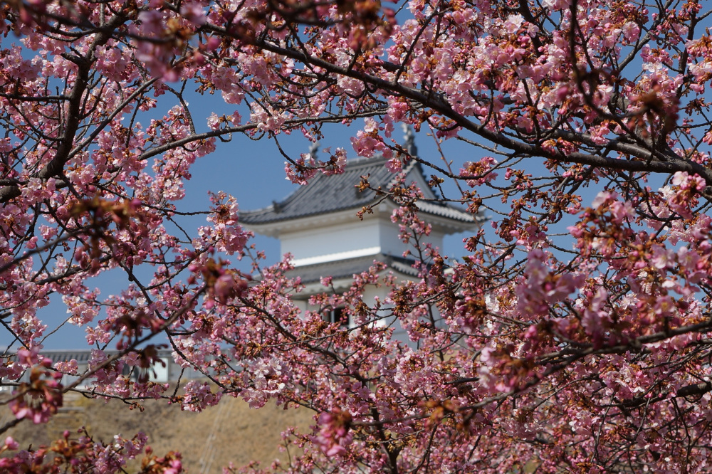 2024年3月14日（木）